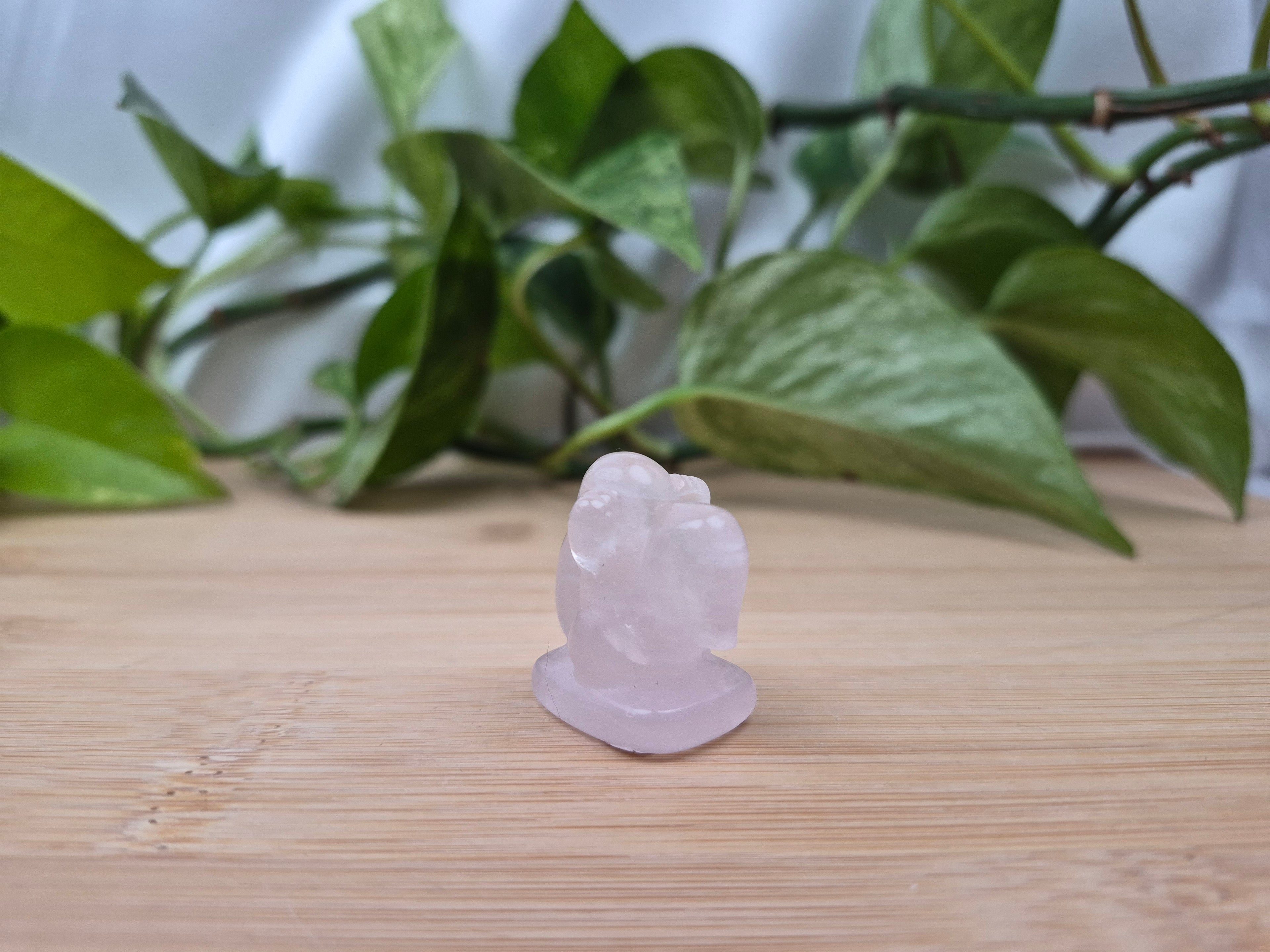 ROSE QUARTZ LICKITUNG
