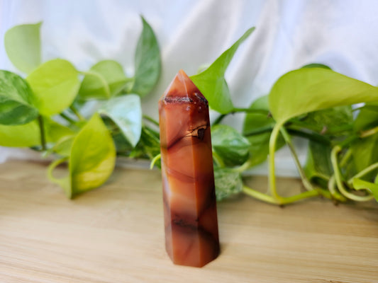 CARNELIAN TOWER