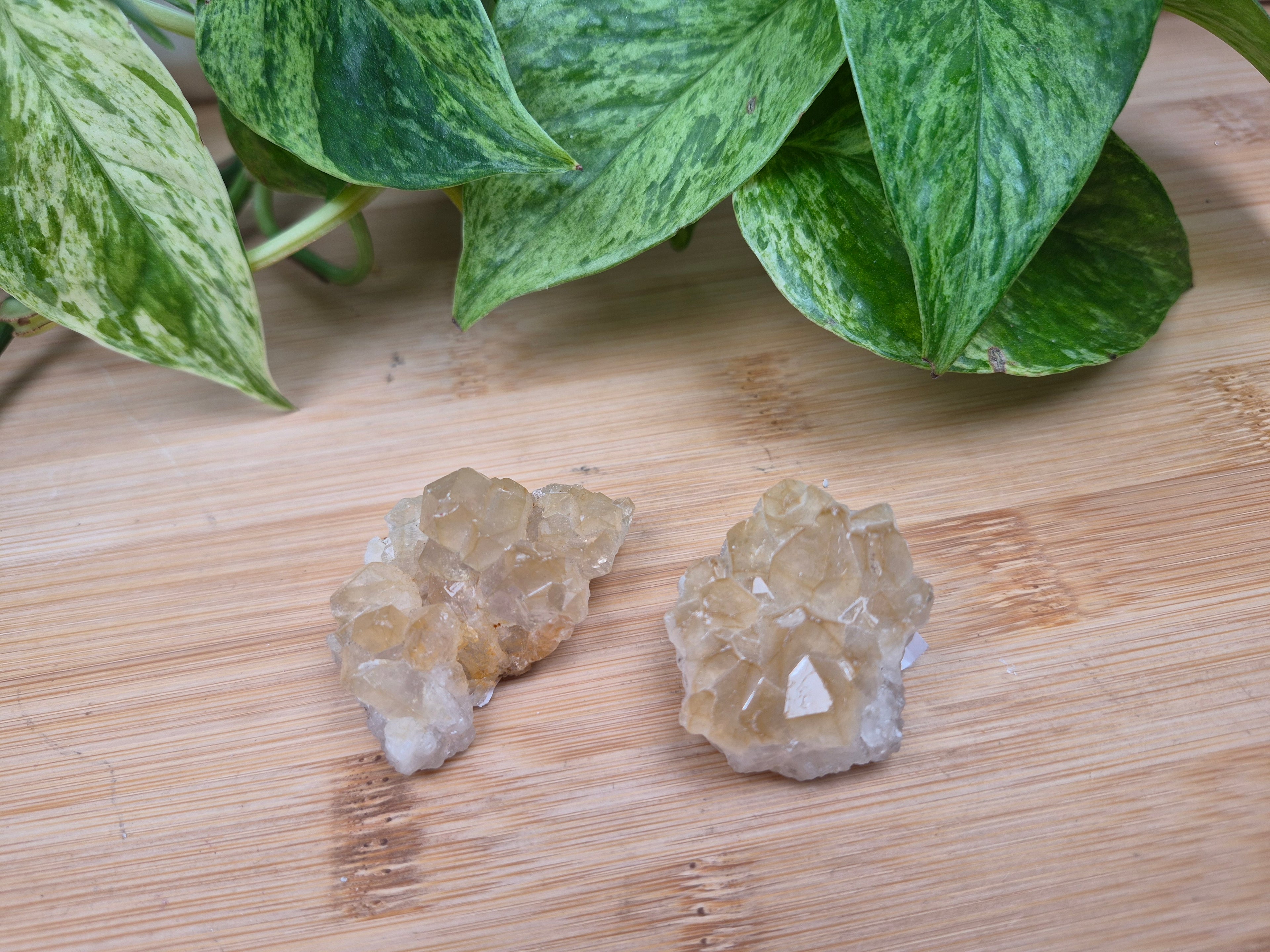 GOLDEN HEALER POINT ROUGH CHUNK