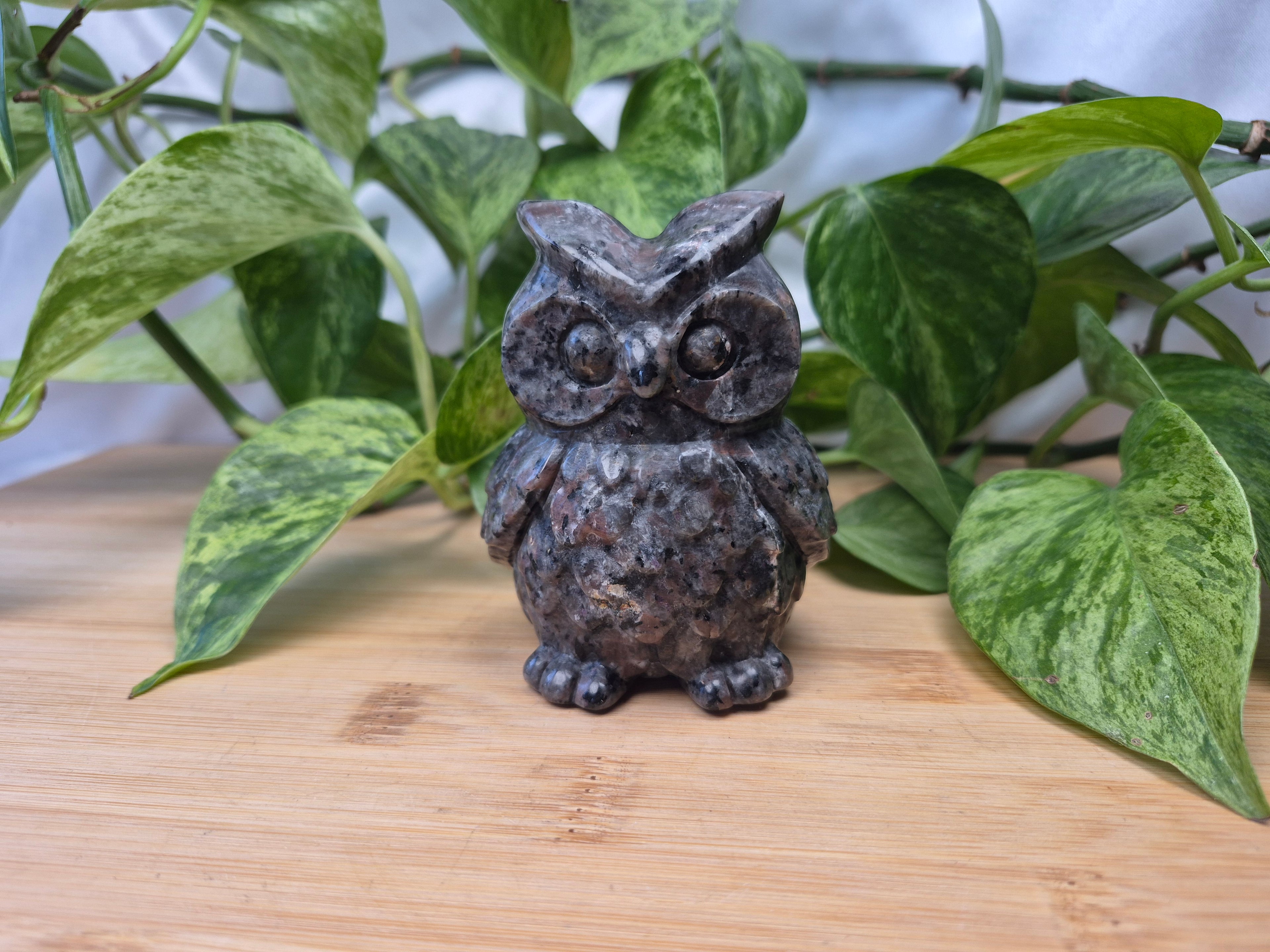 YOOPERLITE OWL