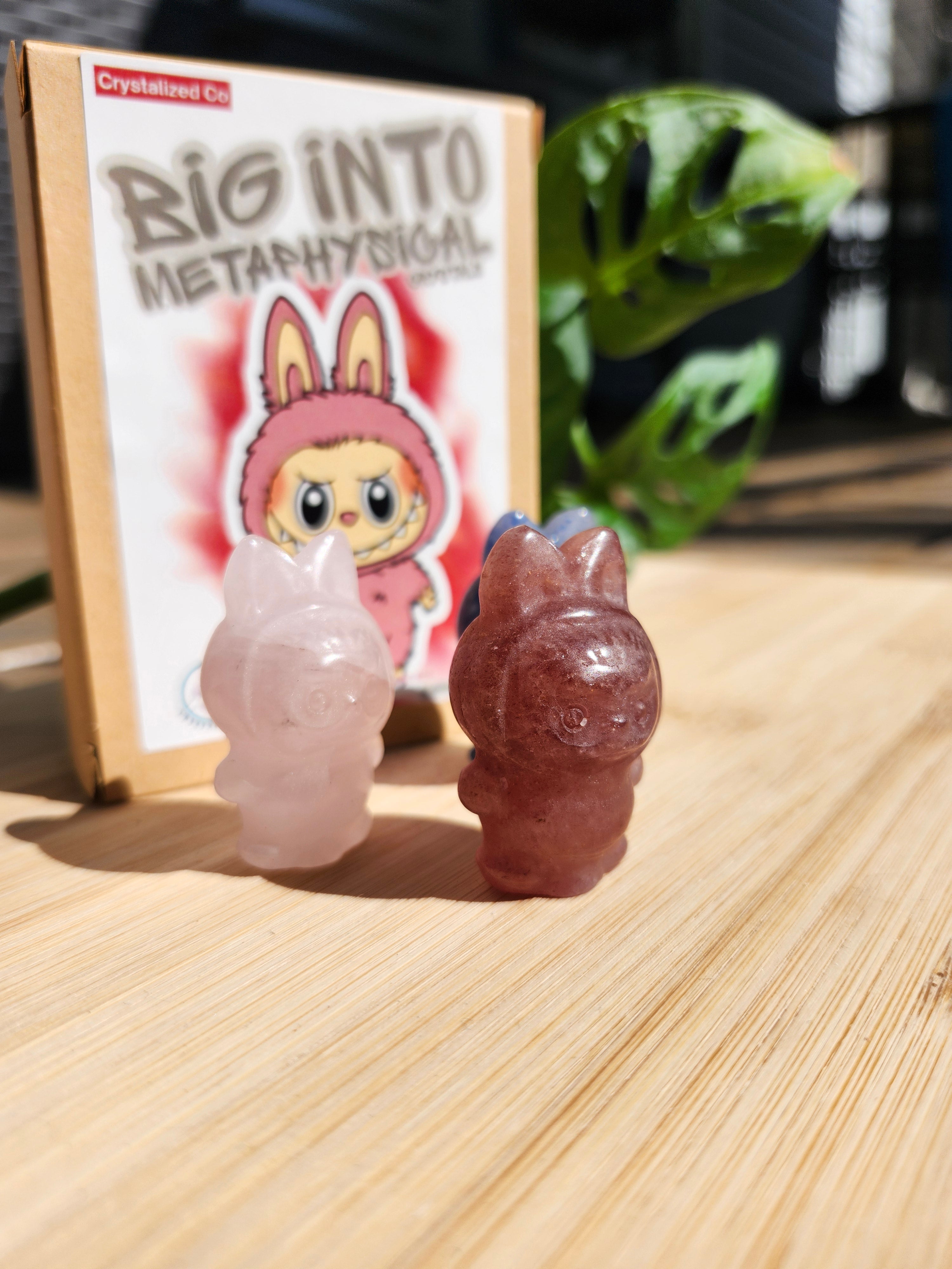 BIG INTO METAPHYSICAL LABUBU BLIND BOX