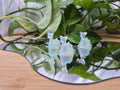 OPALITE LAPRIS SM