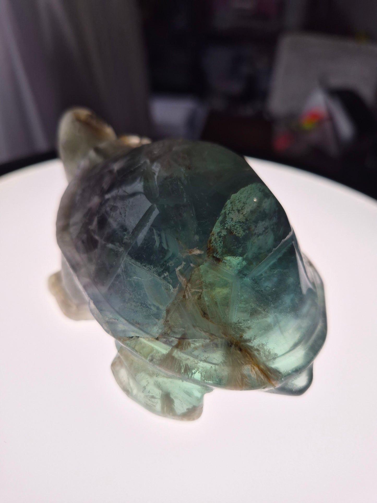 FEATHER FLUORITE TURTLE