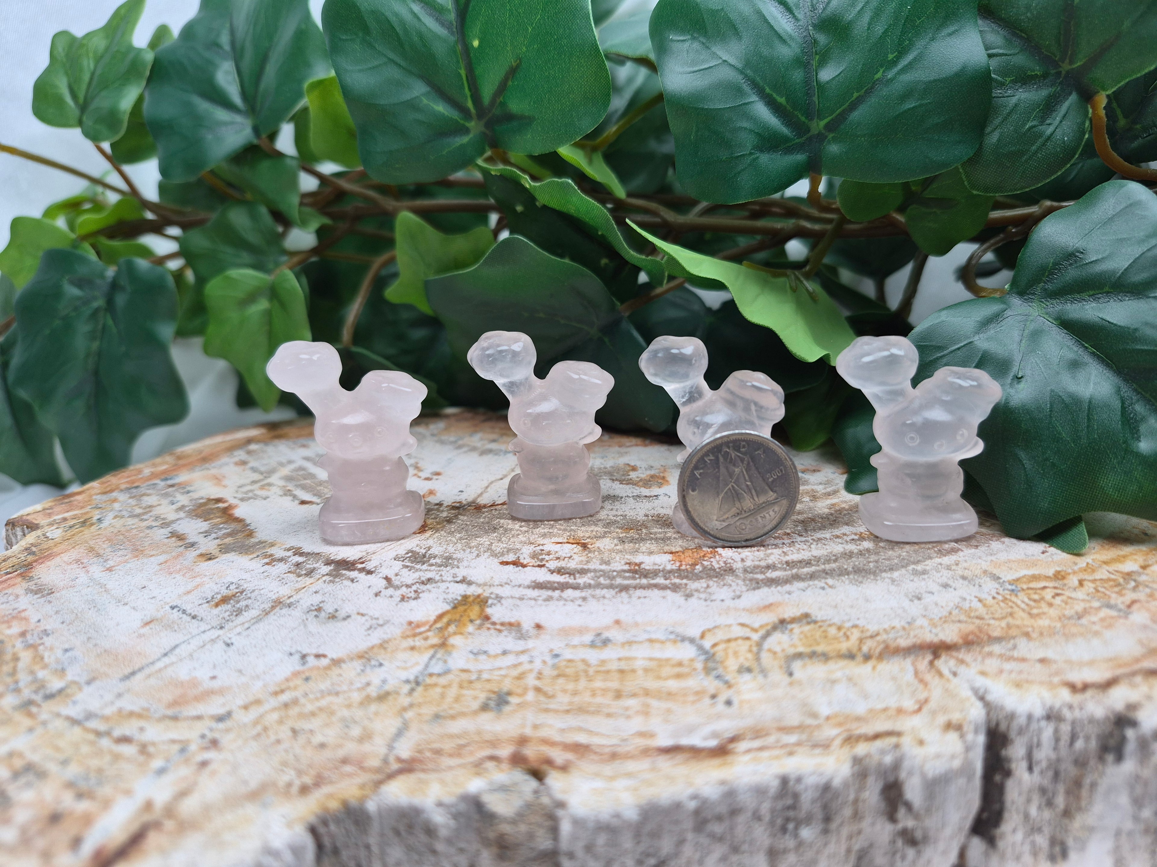 ROSE QUARTZ BUNEARY