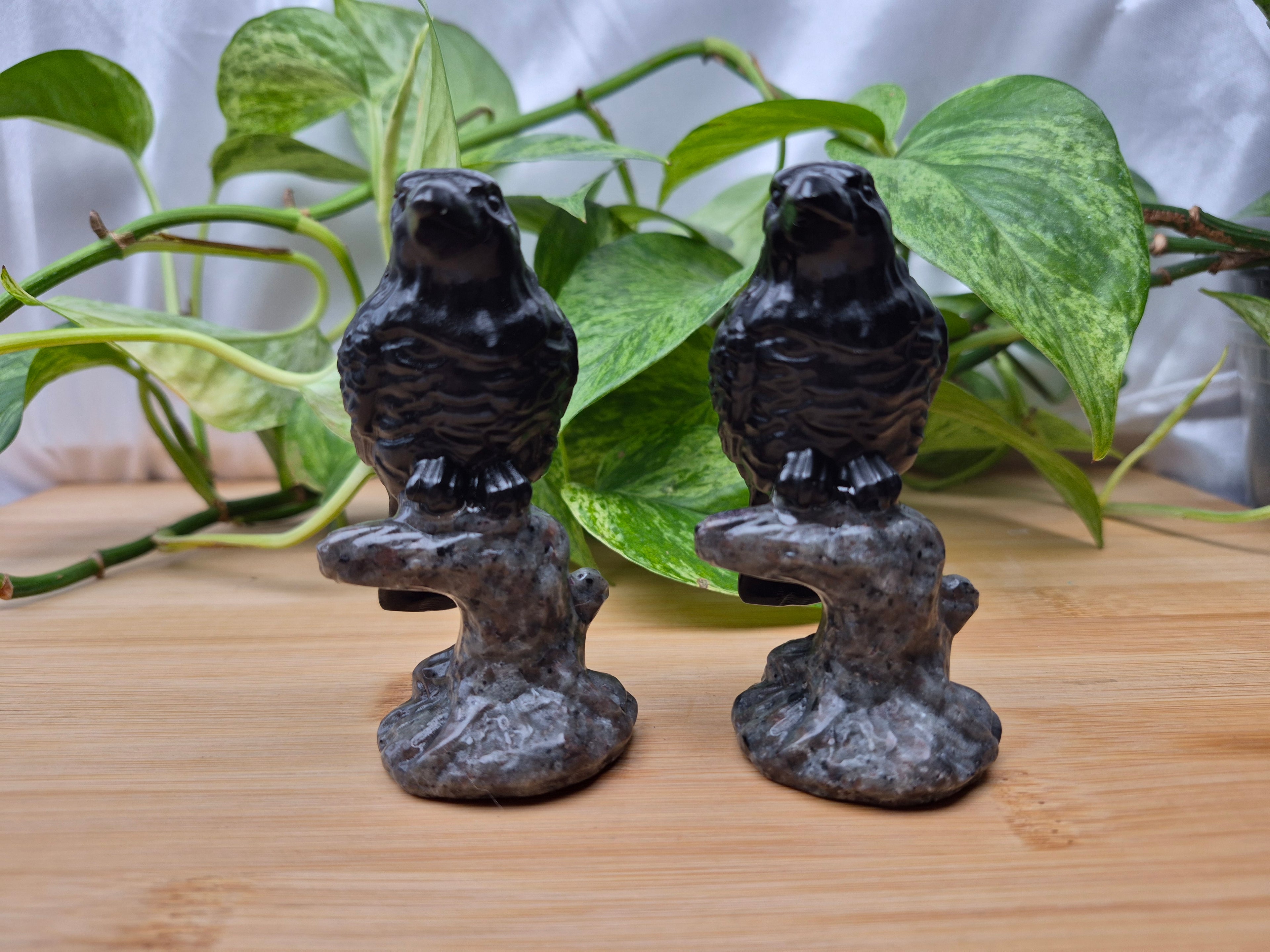 YOOPERLITE & OBSIDIAN RAVEN