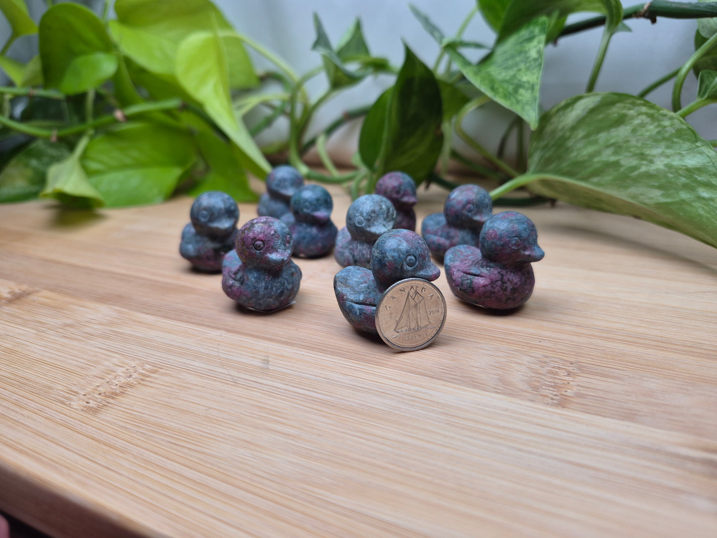 RUBY IN KYANITE DUCK