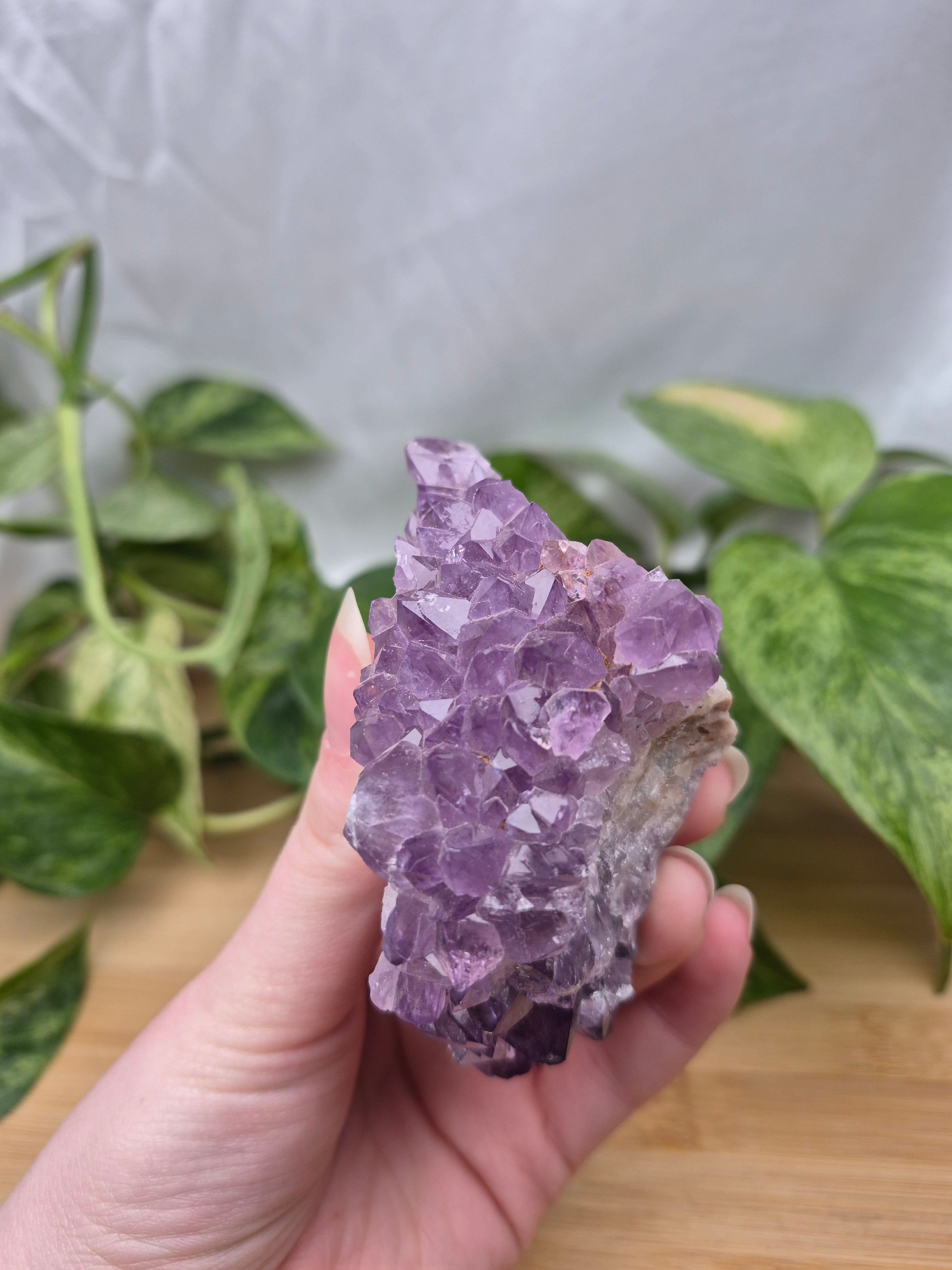 THUNDERBAY AMETHYST CLUSTER