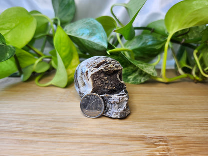 SPHALERITE SKULL