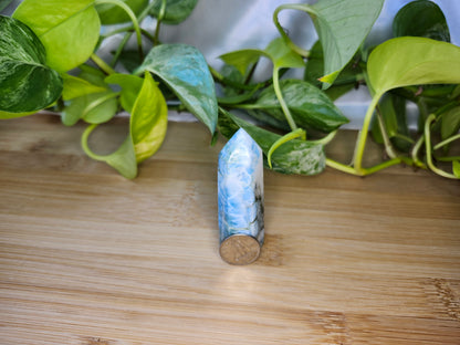 LARIMAR TOWER