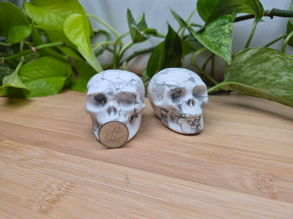 HOWLITE SKULL MD