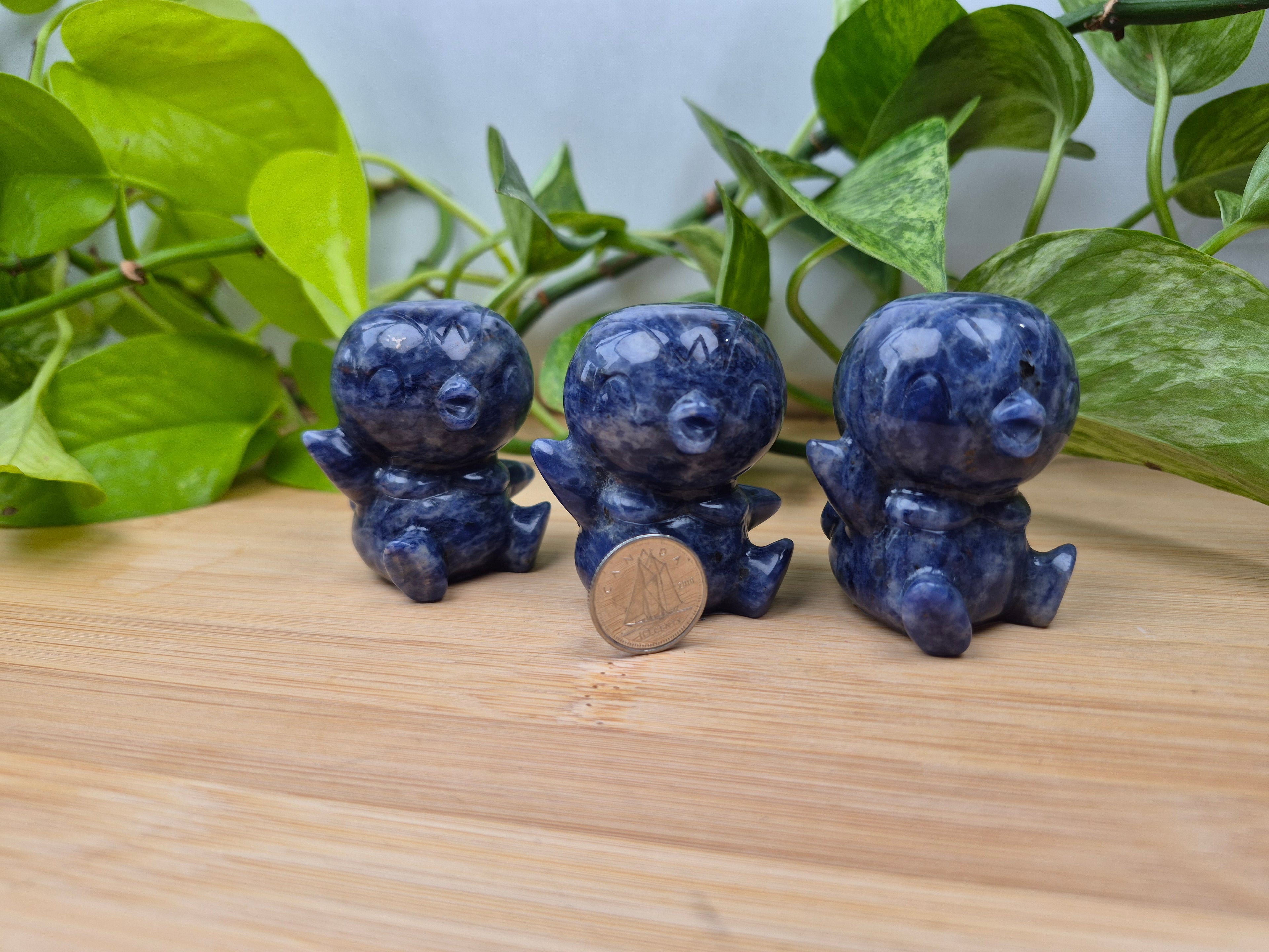 SODALITE PIPLUP