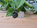 MIXED CRYSTAL SQUIRREL