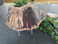 PETRIFIED WOOD SLAB #4