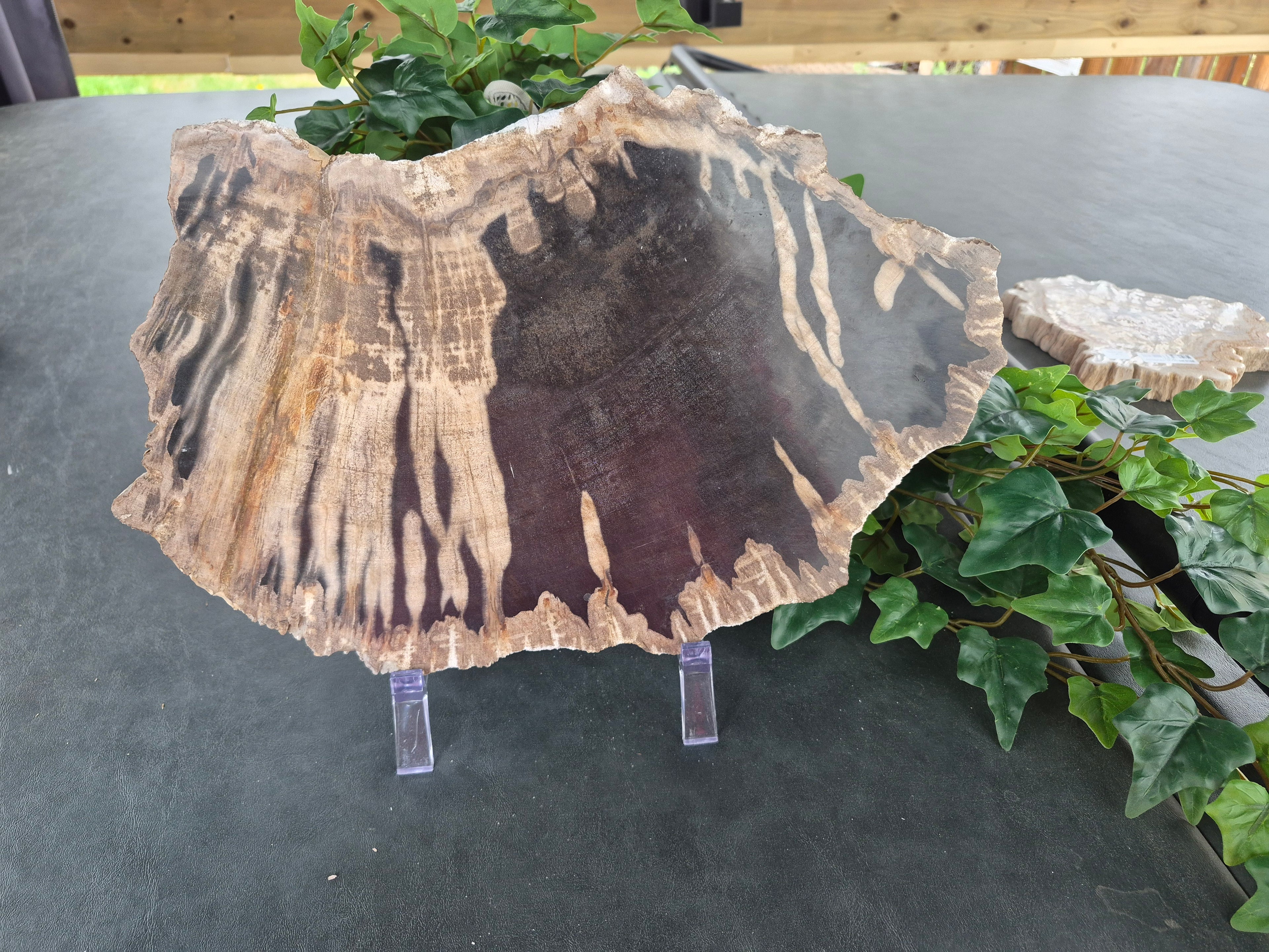PETRIFIED WOOD SLAB #4