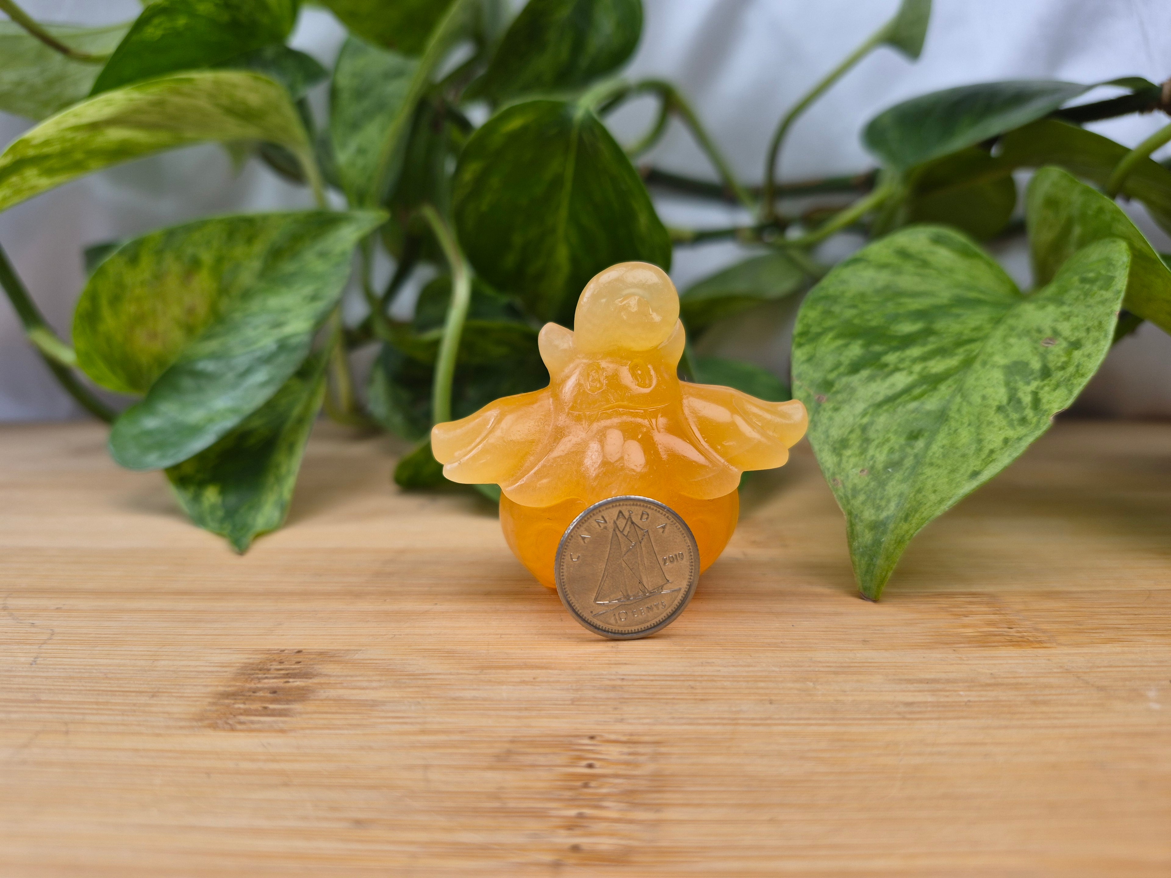 ORANGE CALCITE PUMPKABOO MD
