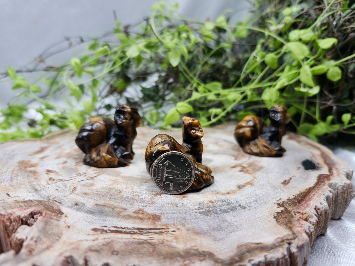 TIGERS EYE NINETAILS