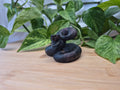 GARNET SNAKE