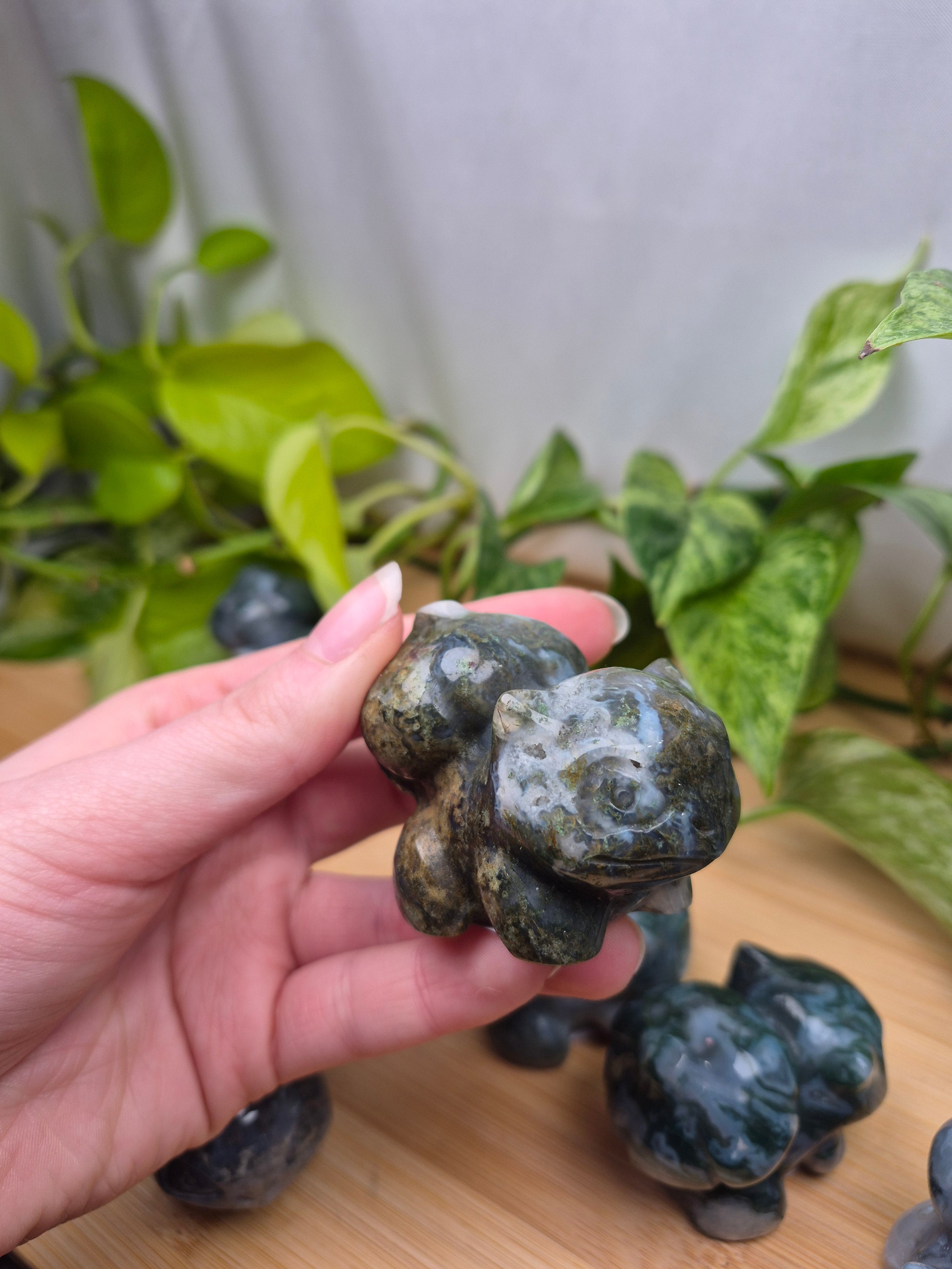 MOSS AGATE BULBASAUR LG