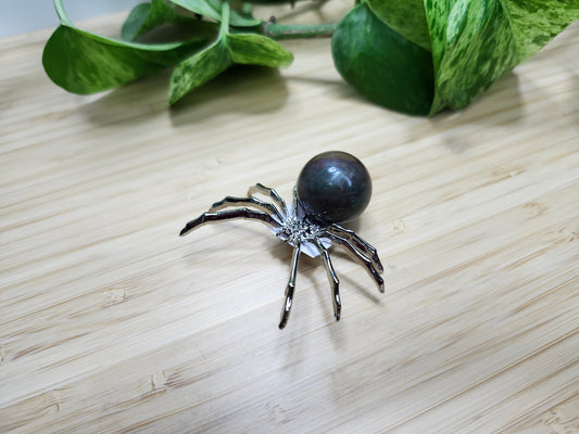 OCEAN JASPER SPIDER
