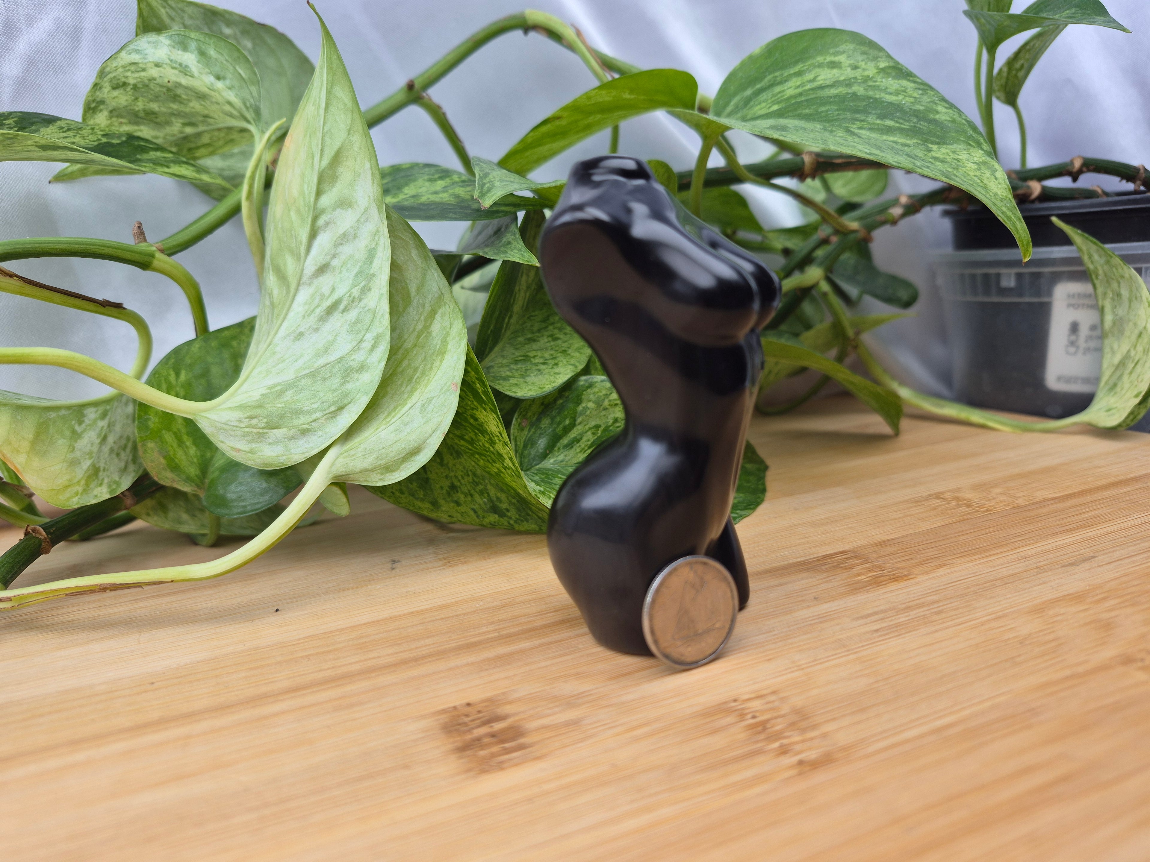 OBSIDIAN GODDESS BODY