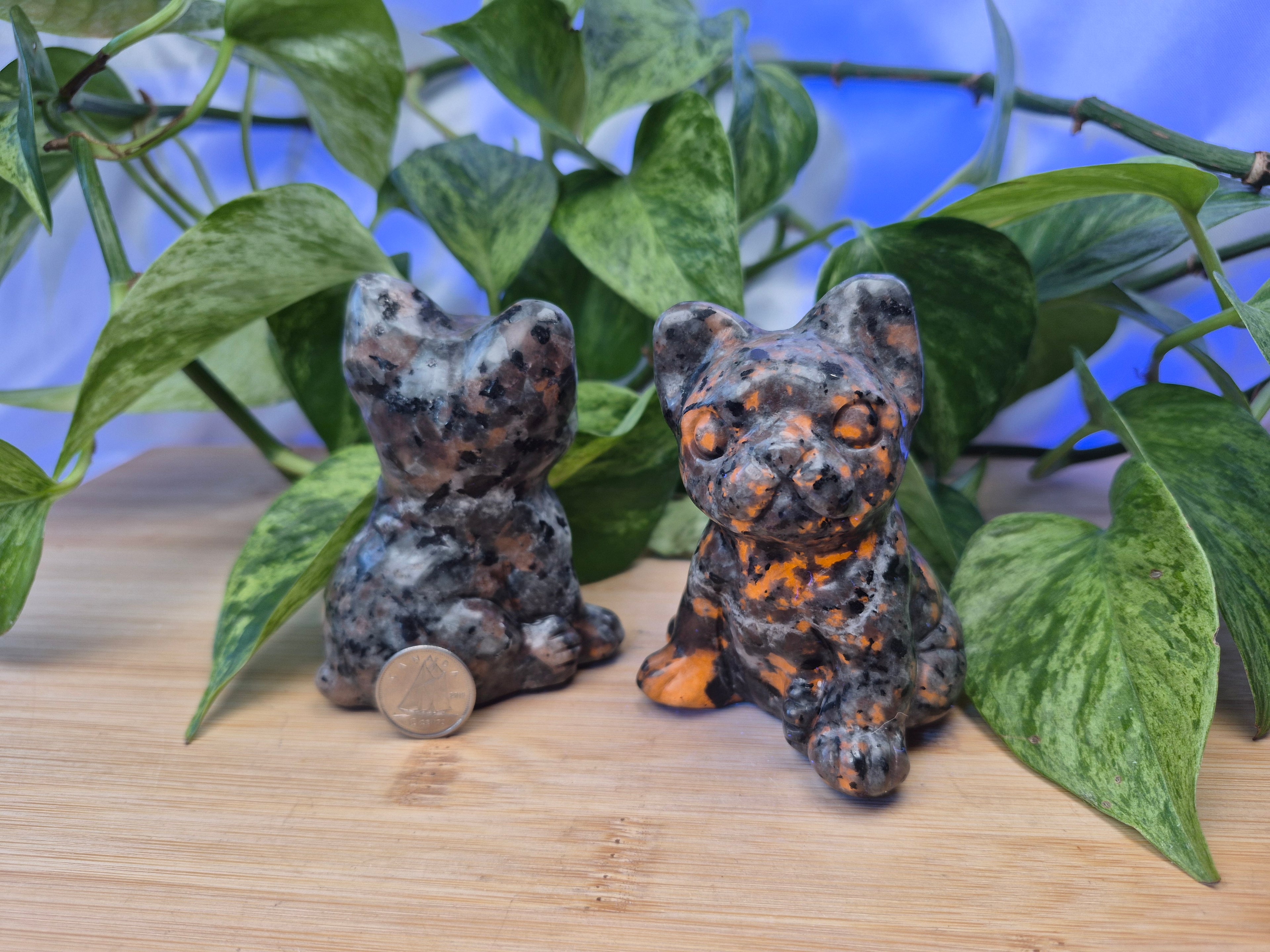 YOOPERLITE SITTING DOG