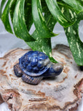 SODALITE TURTLE