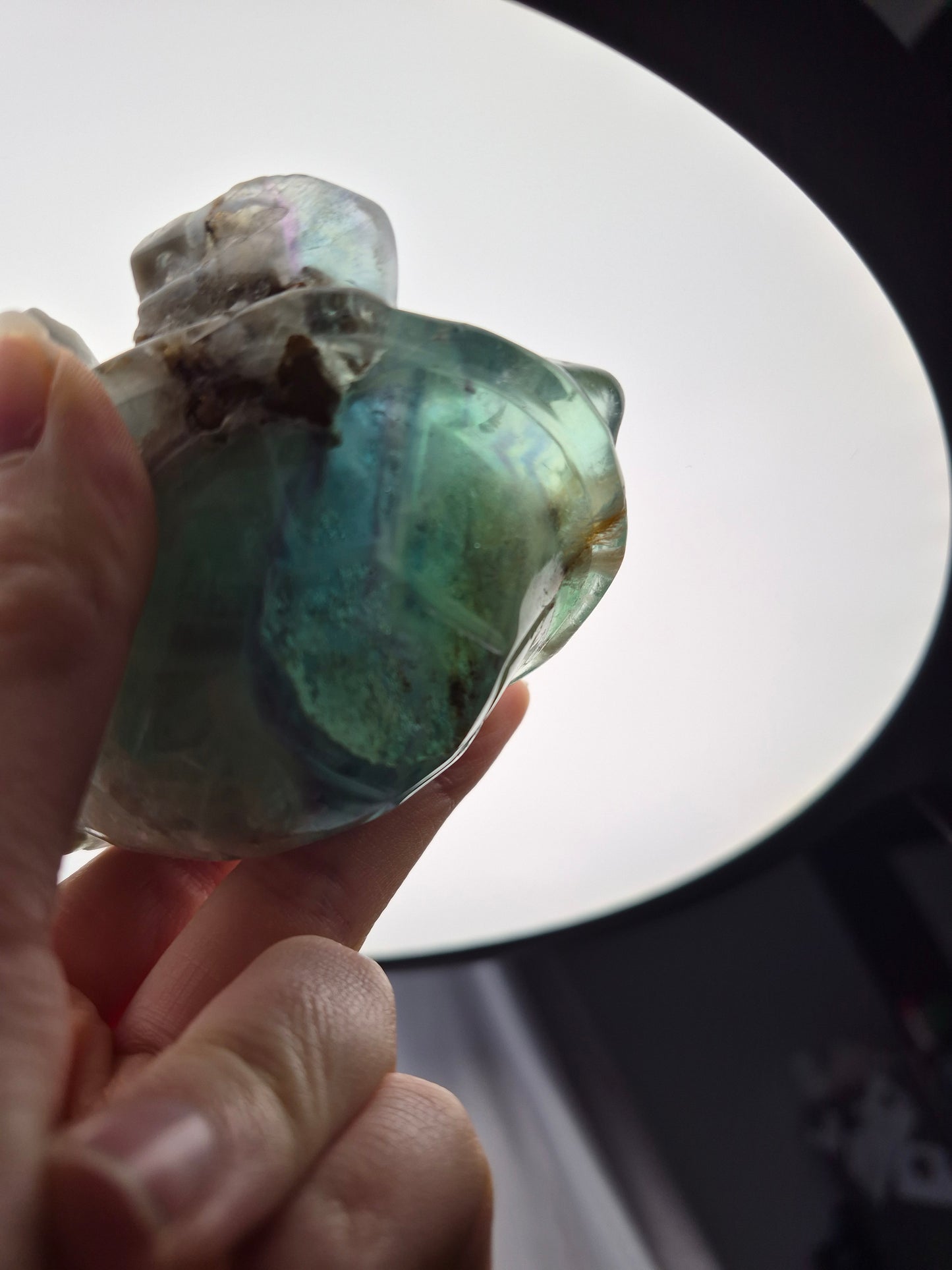 FEATHER FLUORITE TURTLE