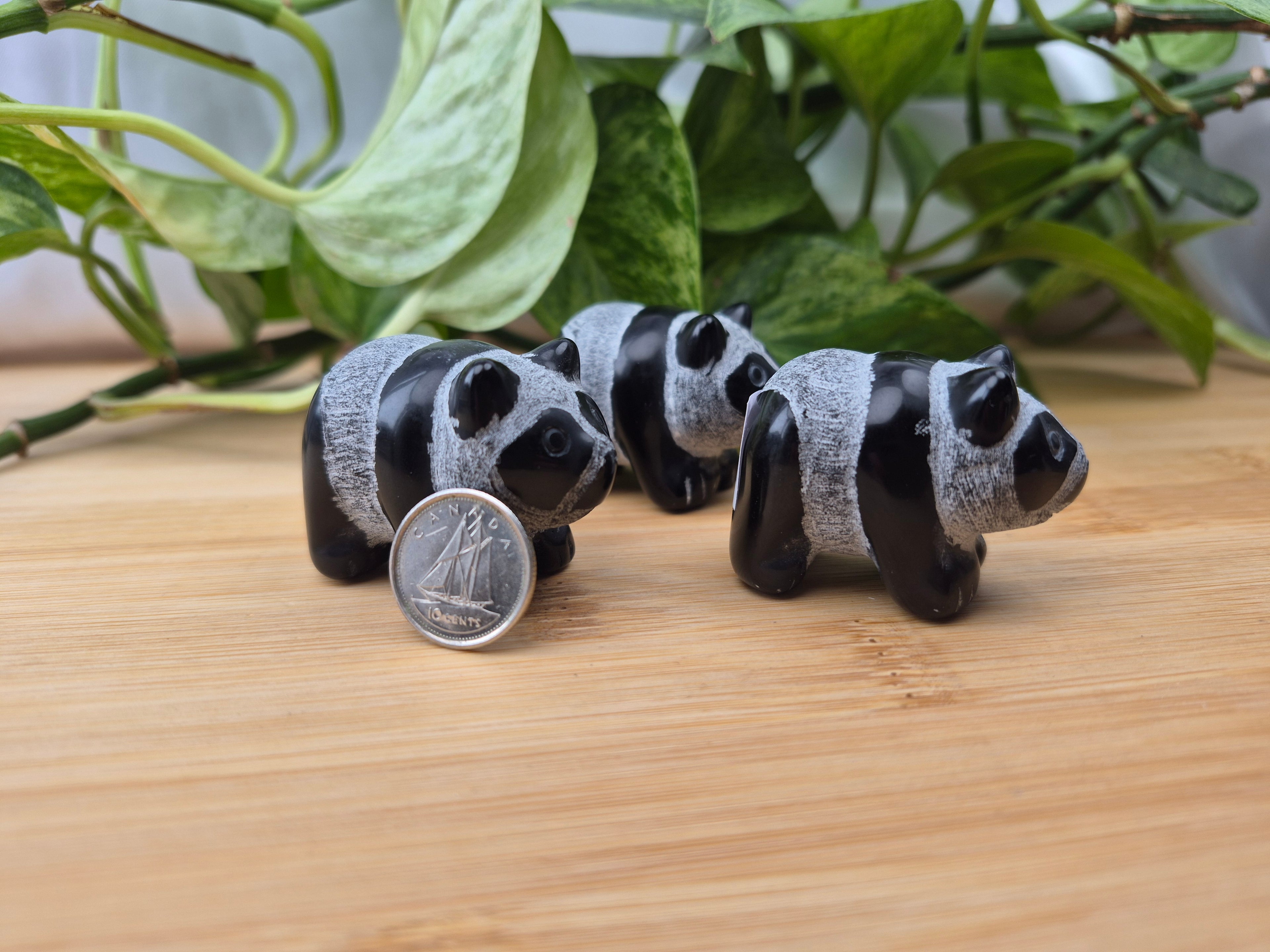 OBSIDIAN PANDA