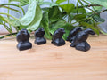 OBSIDIAN CROW