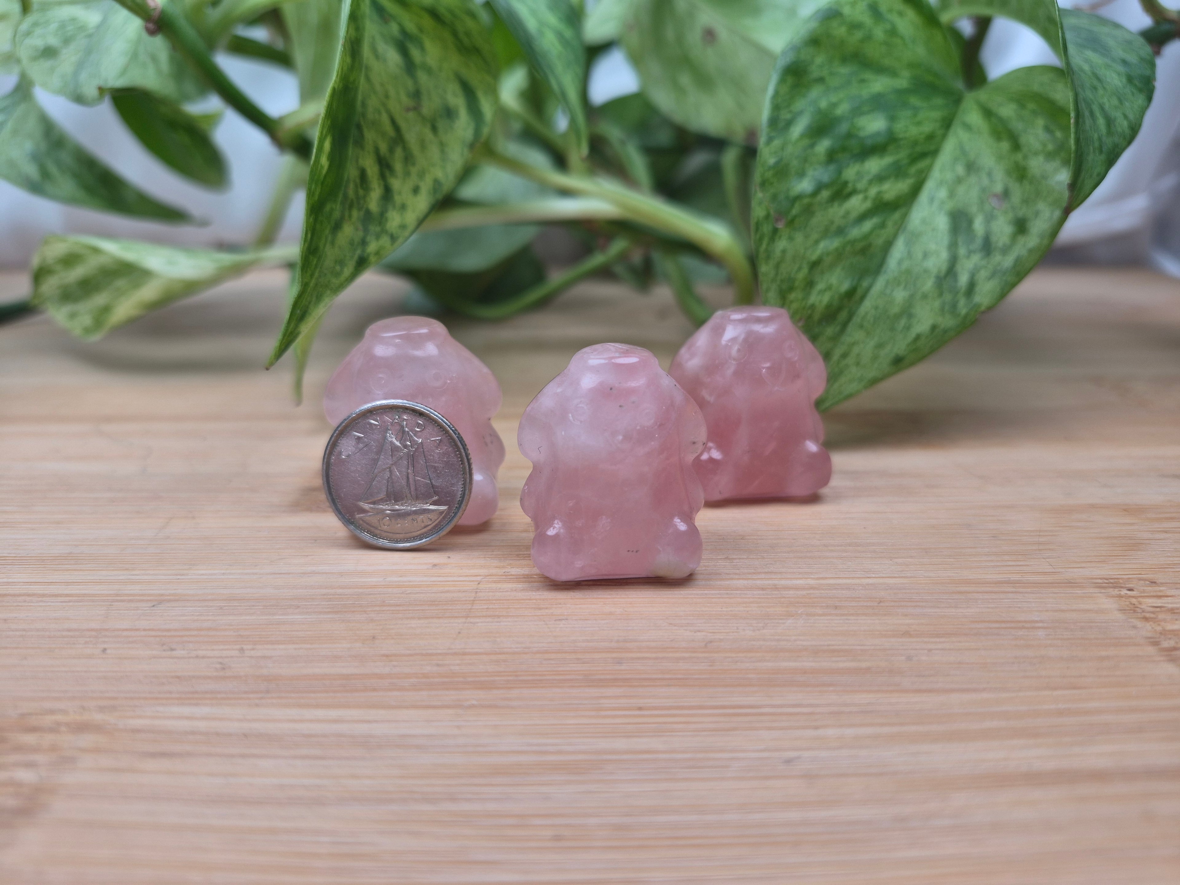ROSE QUARTZ POMPOM PURIN HK FRIEND