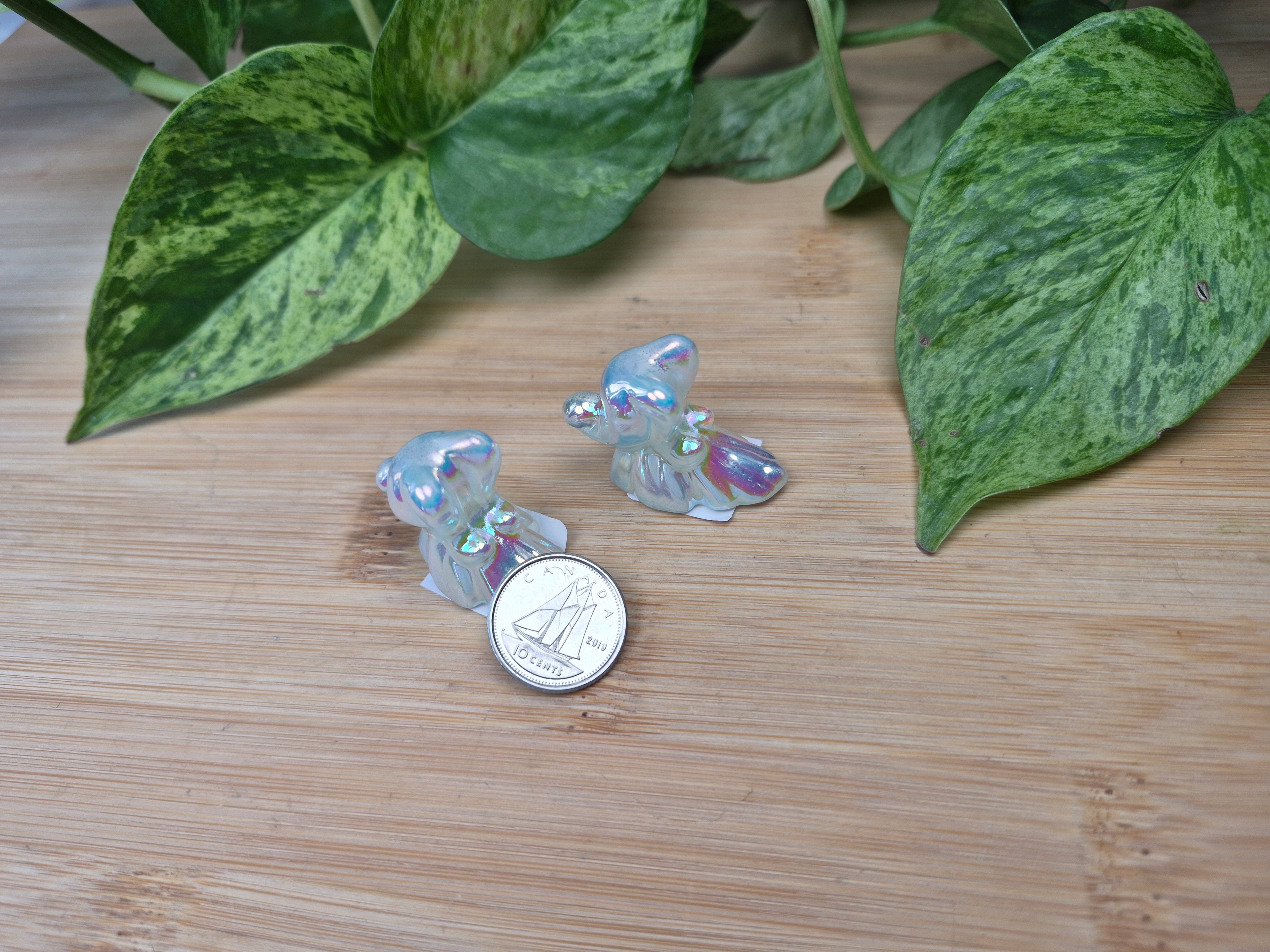 AURA OPALITE ZERO DOG