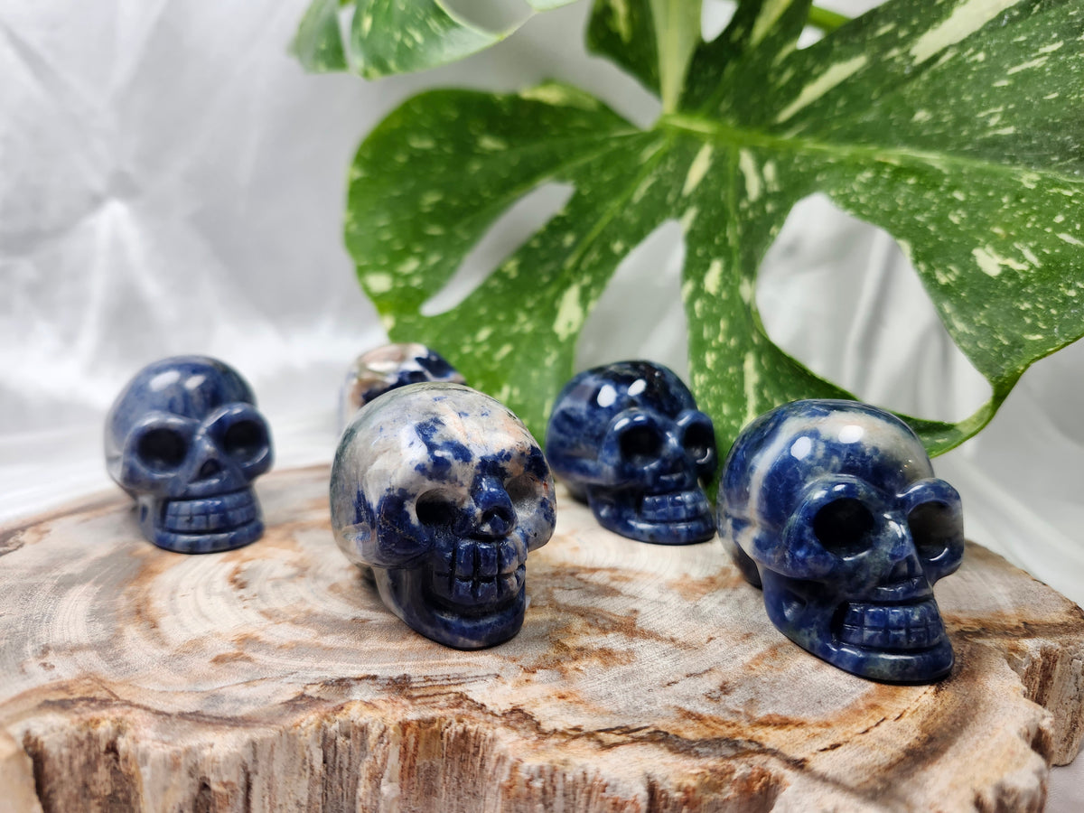 SODALITE SKULL