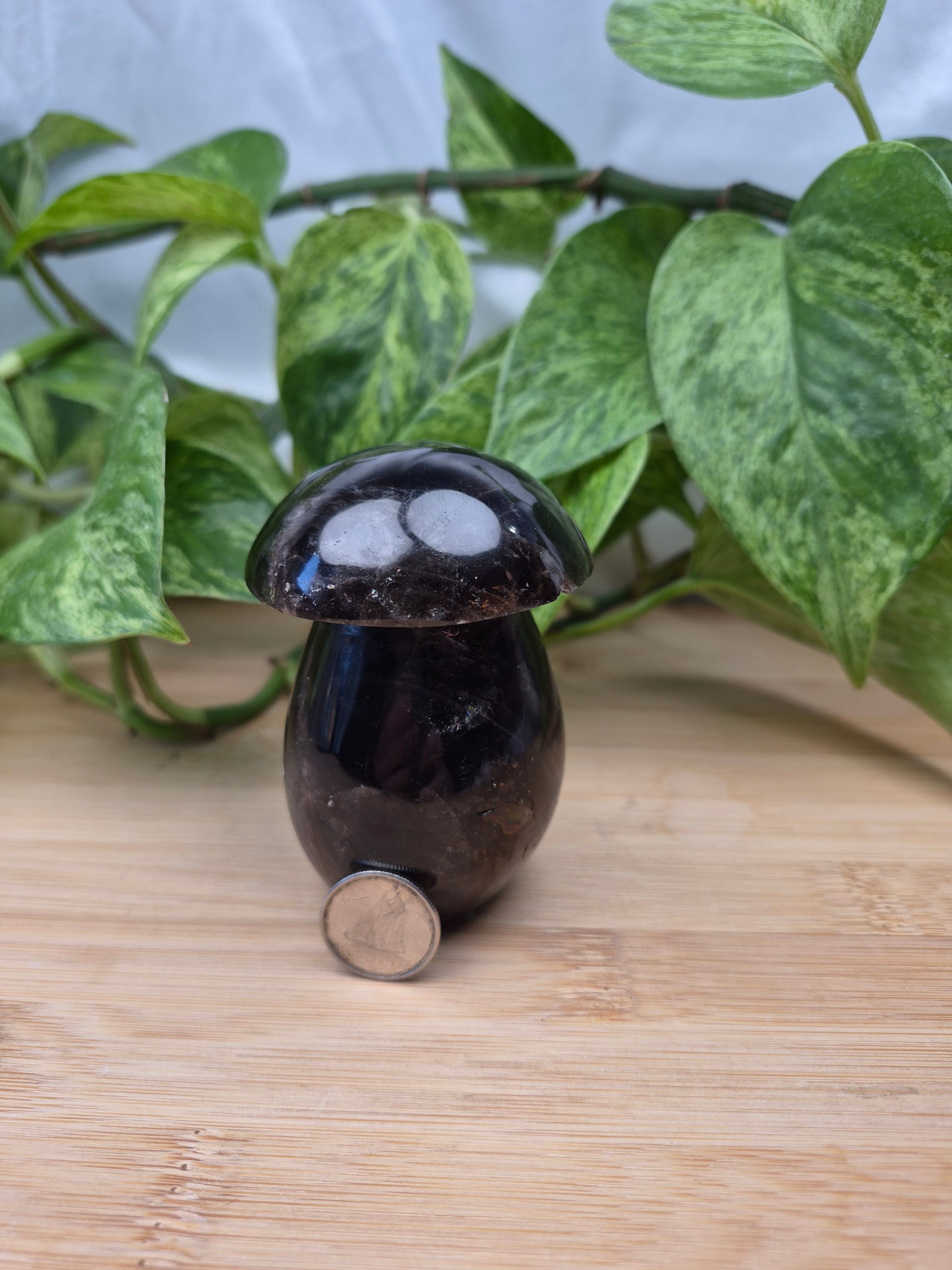 SMOKY QUARTZ MUSHROOM