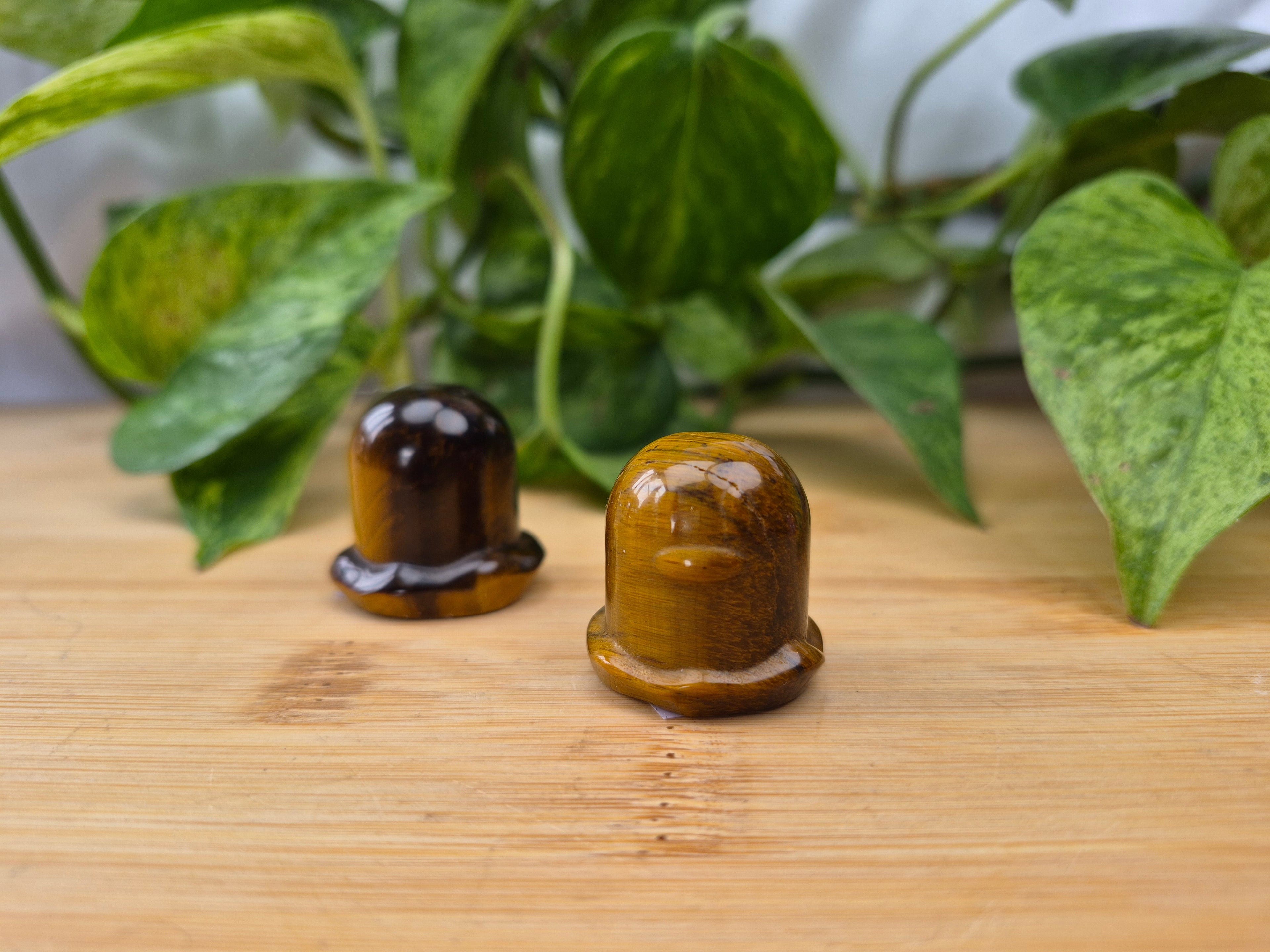 TIGERS EYE DIGLETT
