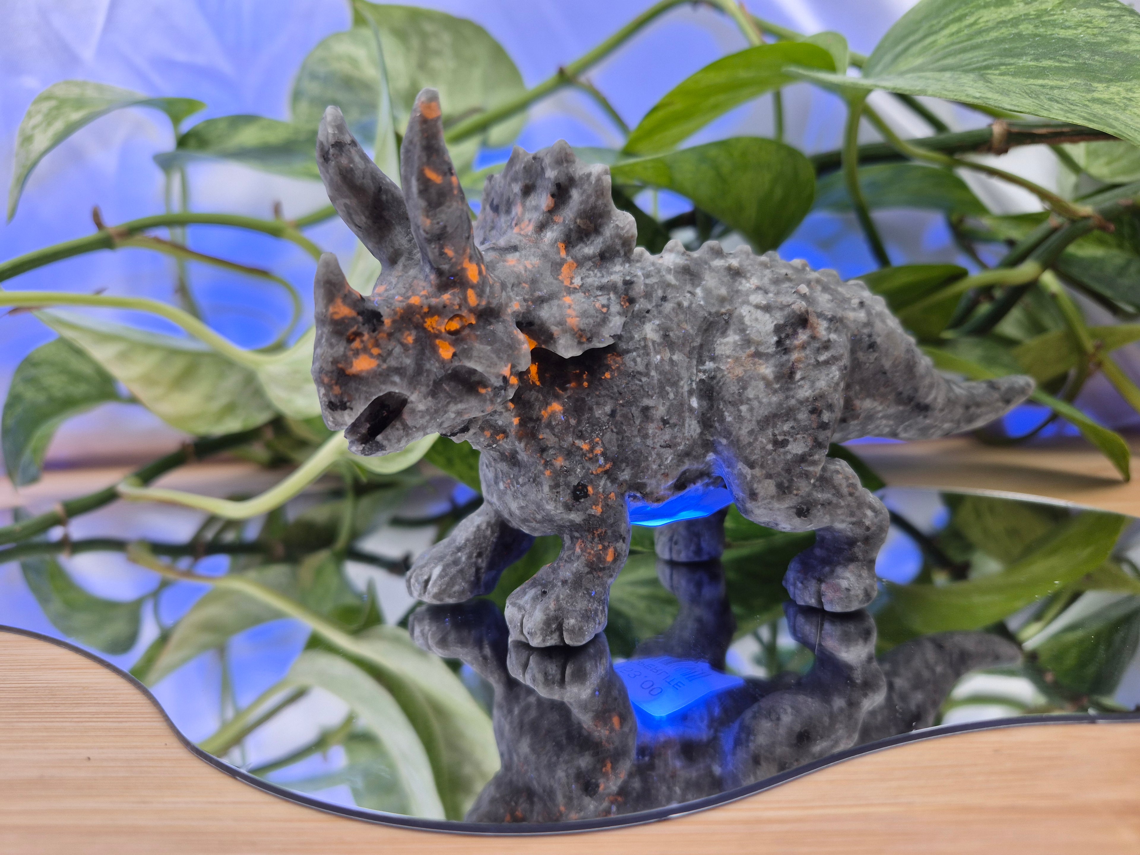 YOOPERLITE TRICERATOPS