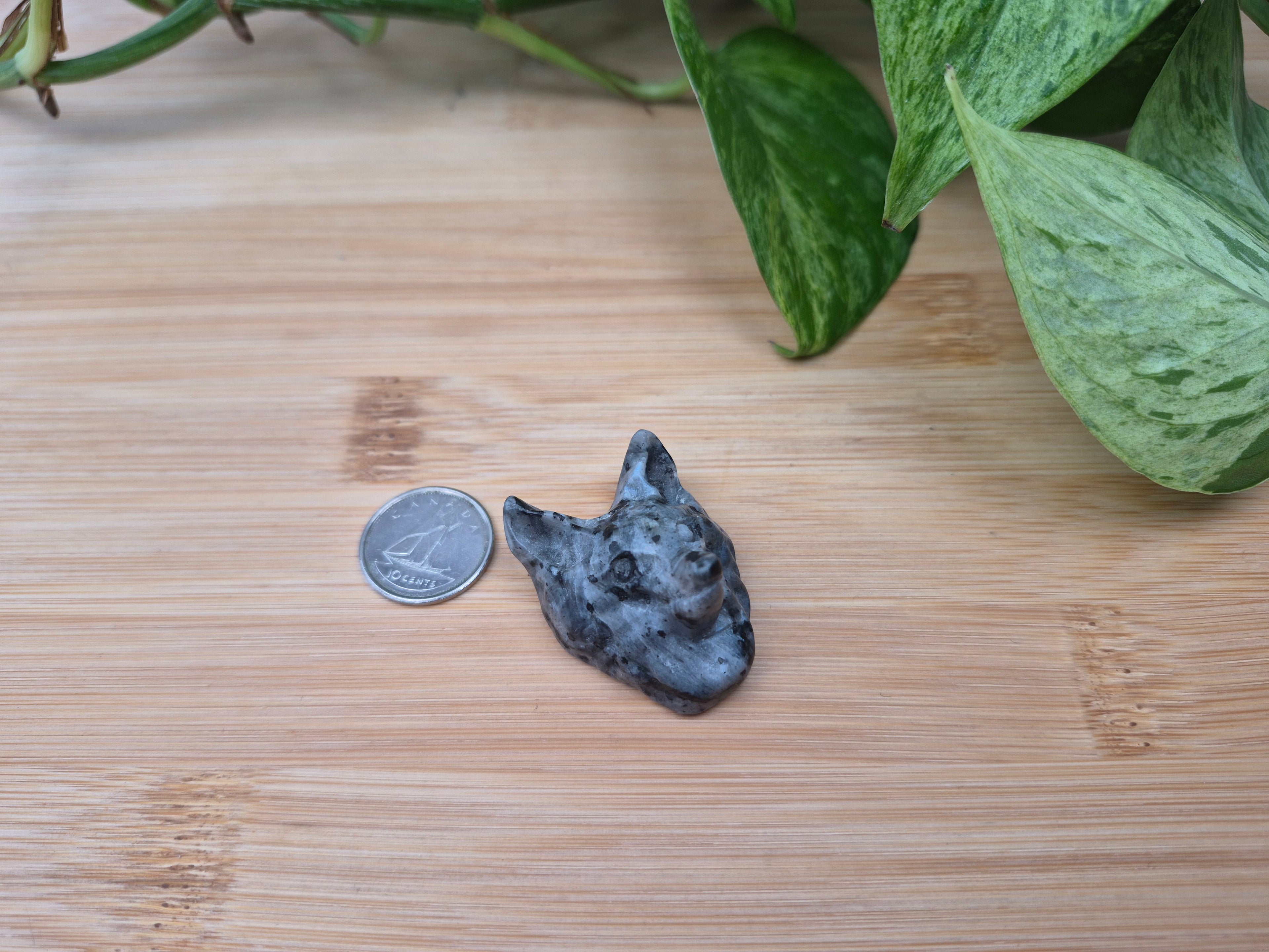 LARVIKITE WOLF HEAD