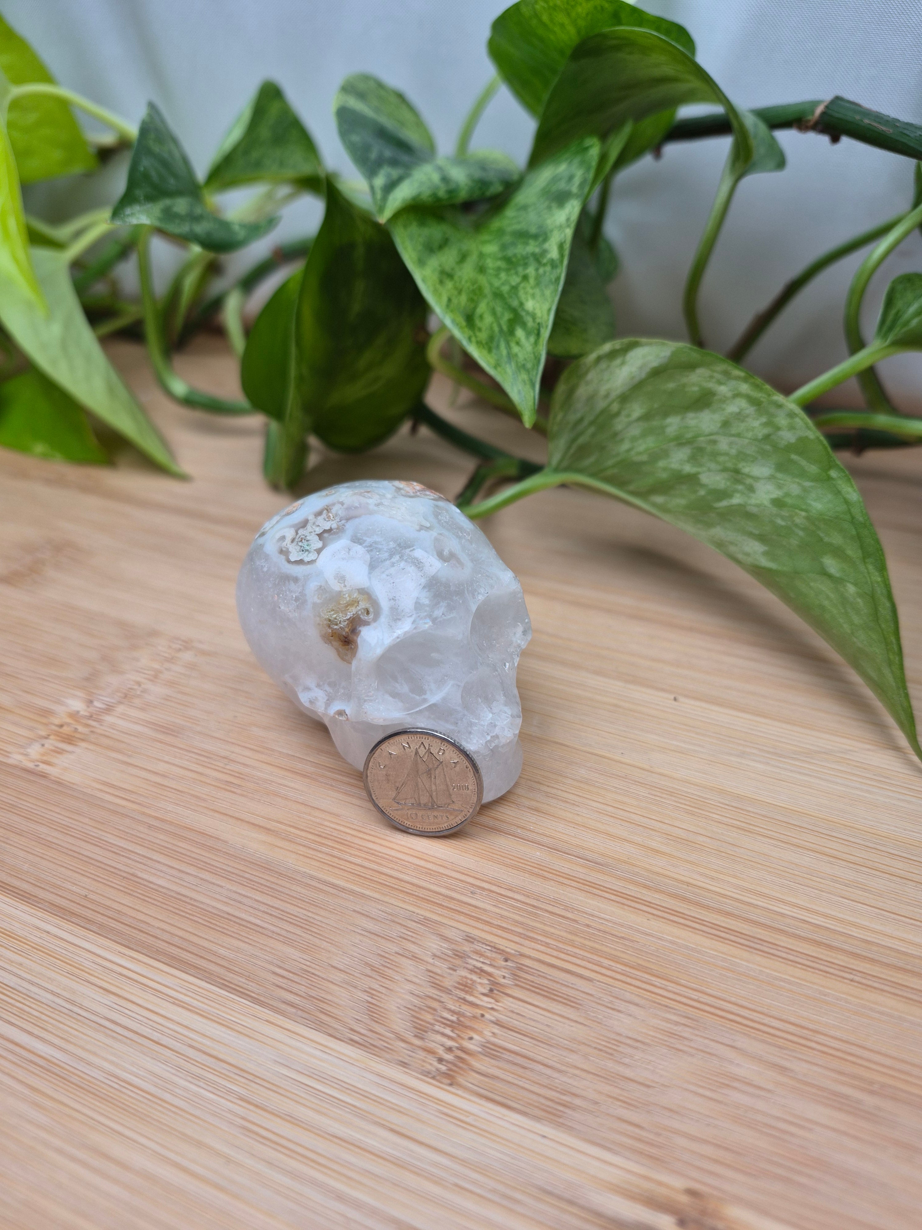 MOSS AGATE SKULL MD