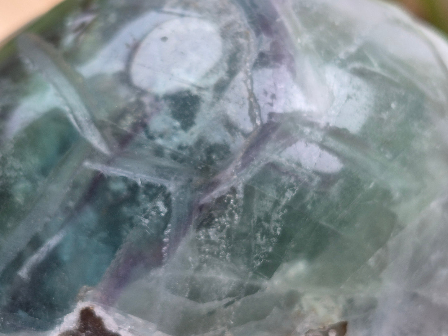 FEATHER FLUORITE TURTLE