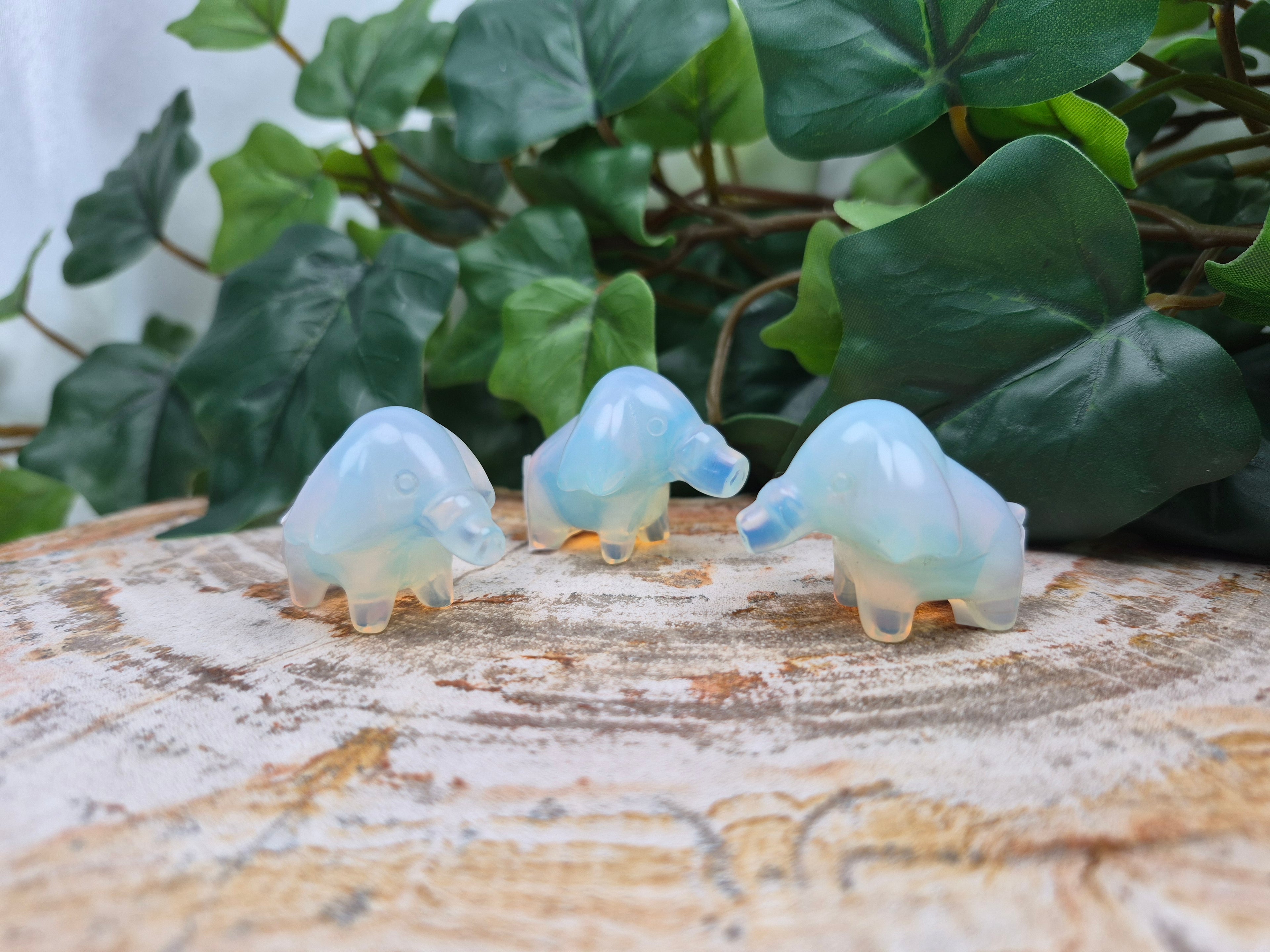 OPALITE PHANPY