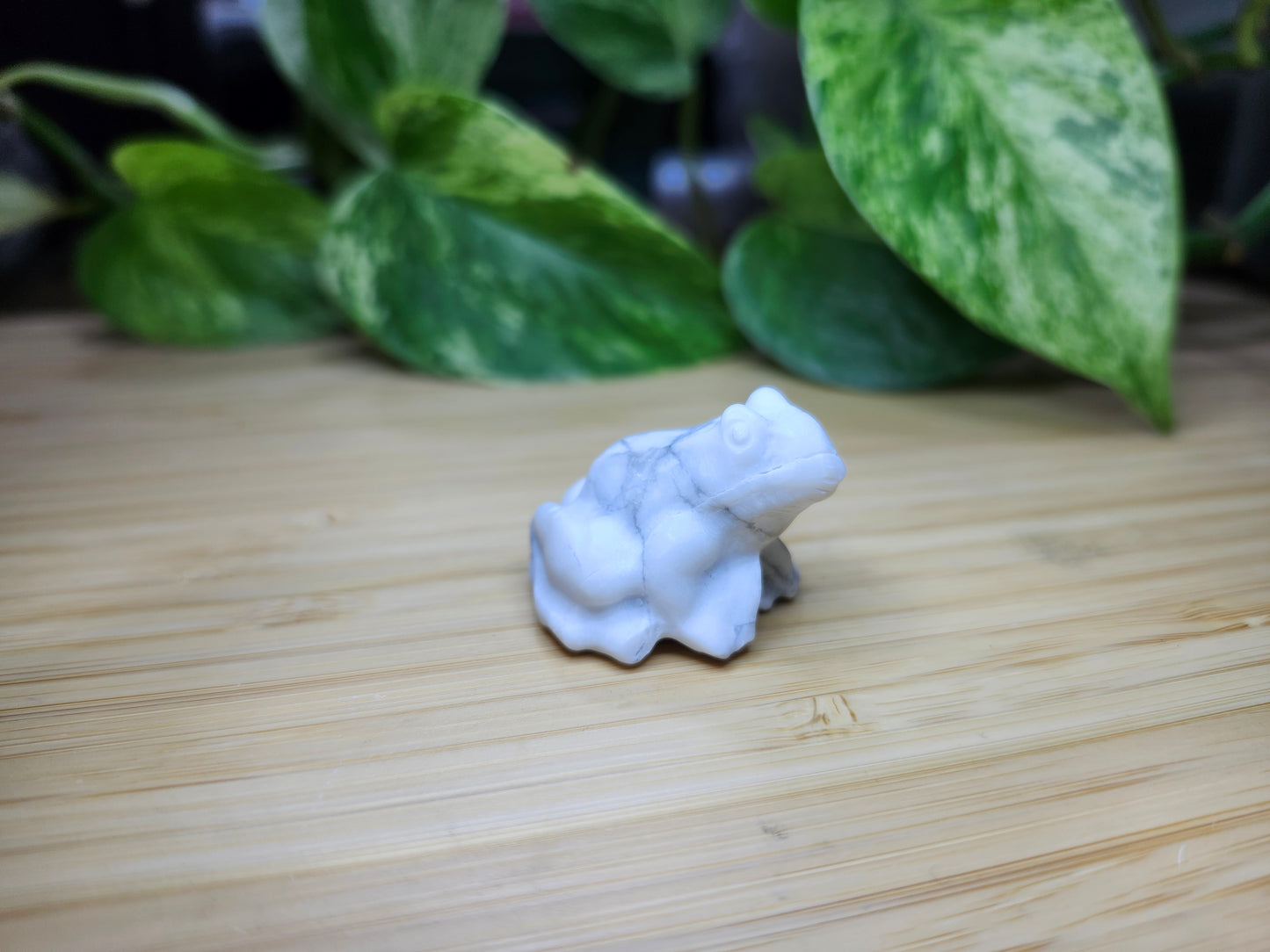 HOWLITE FROG