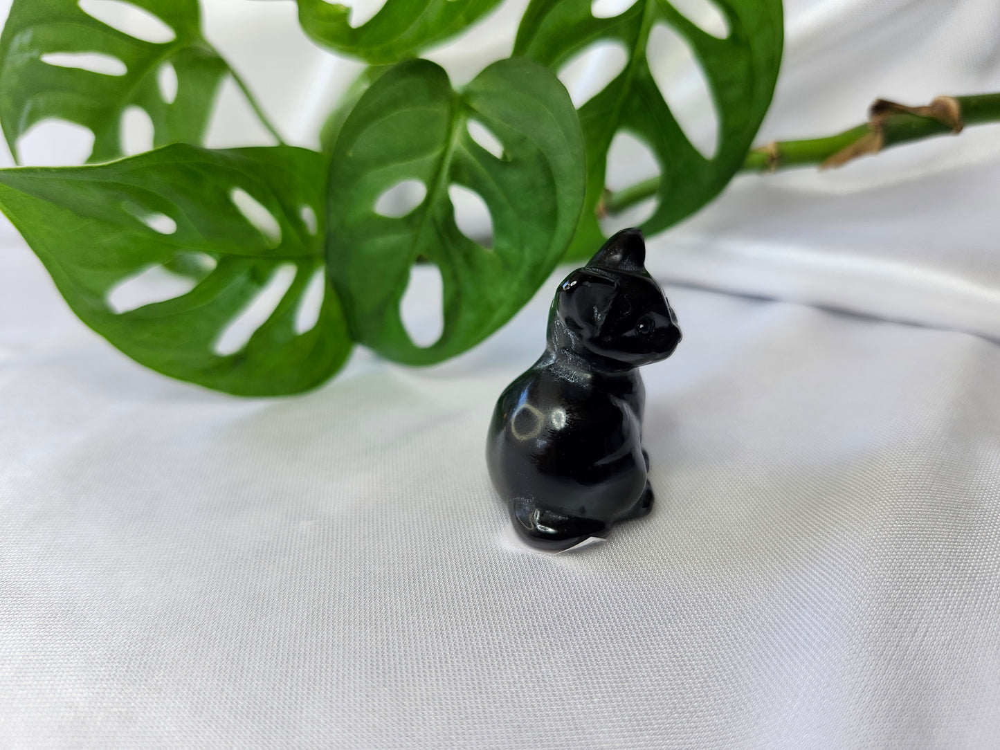 OBSIDIAN SM SITTING CAT
