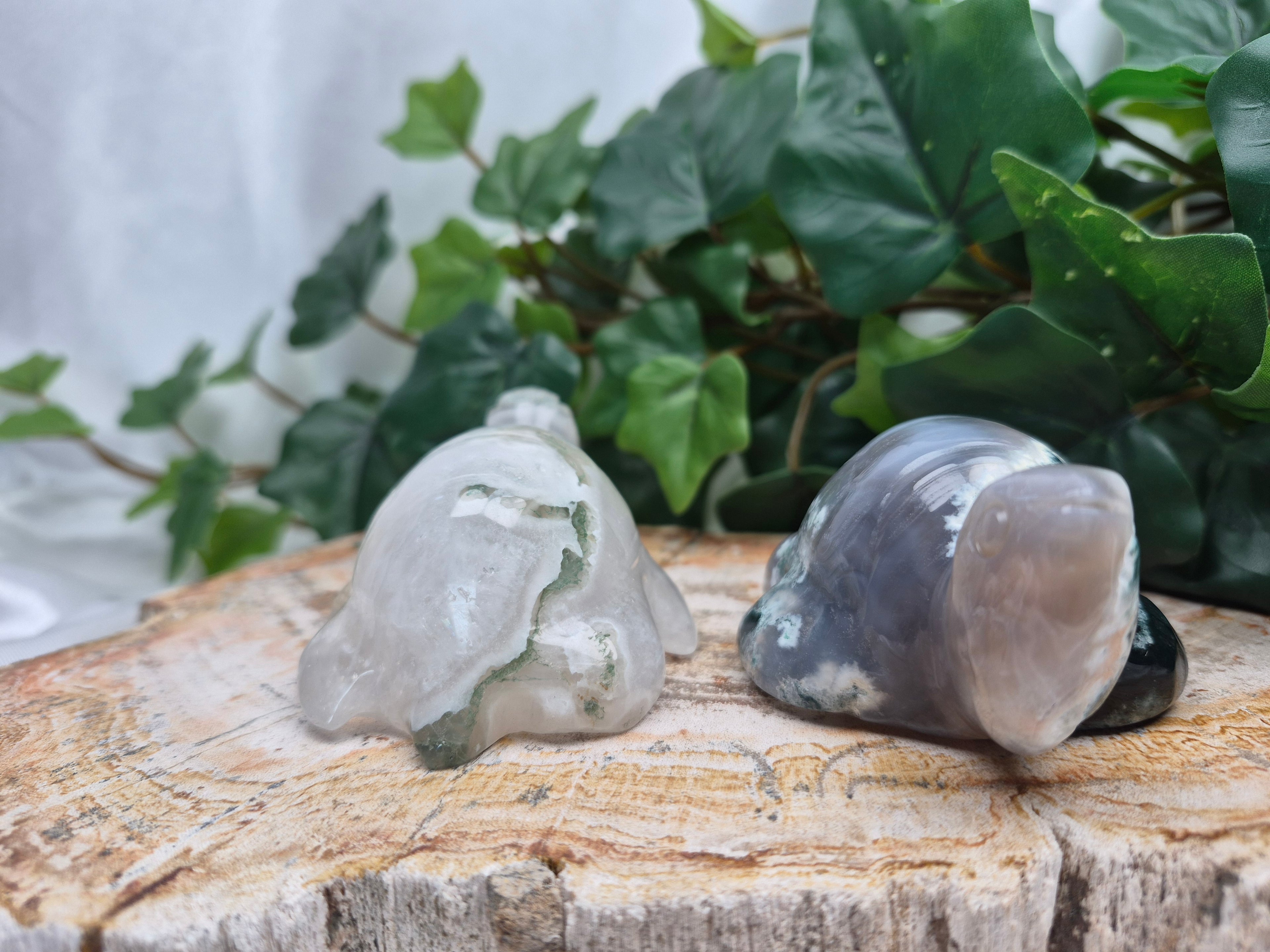 MOSS AGATE TURTLE