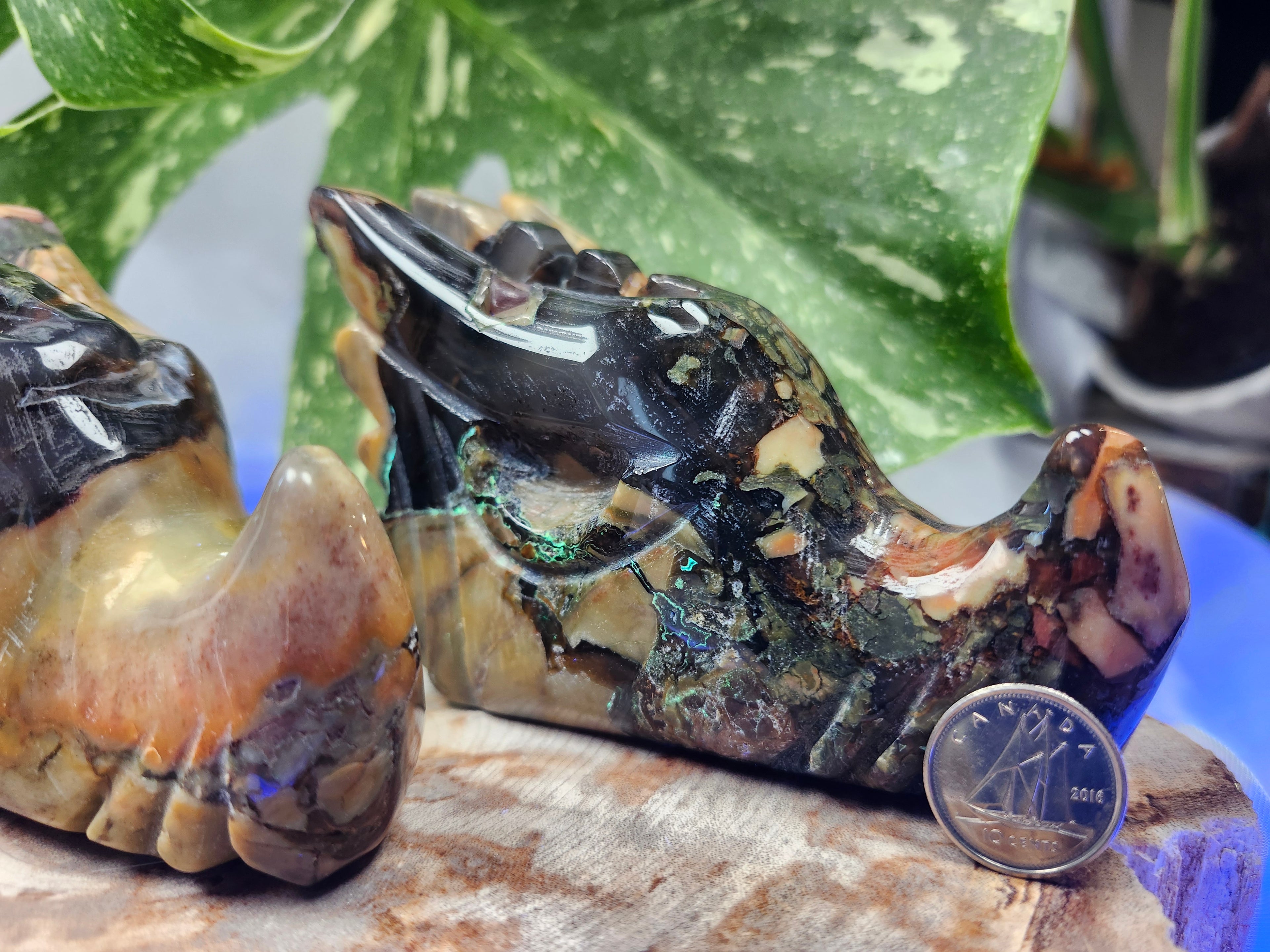 VOLCANO AGATE DRAGON HEAD