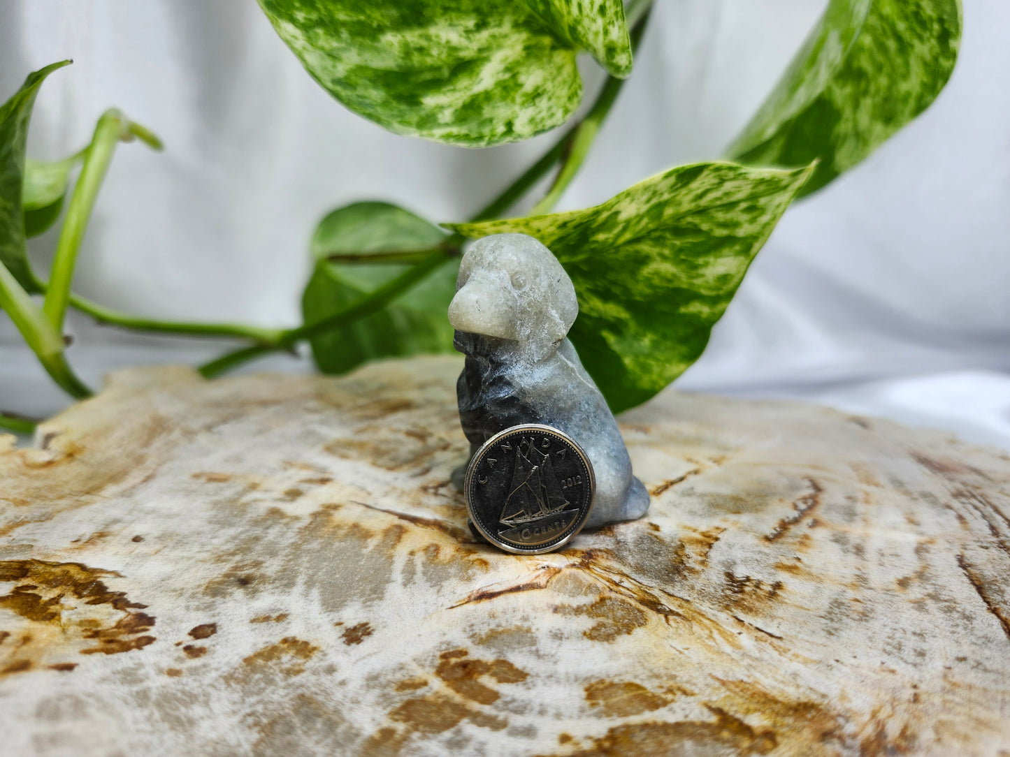 LABRADORITE LAB SITTING DOG