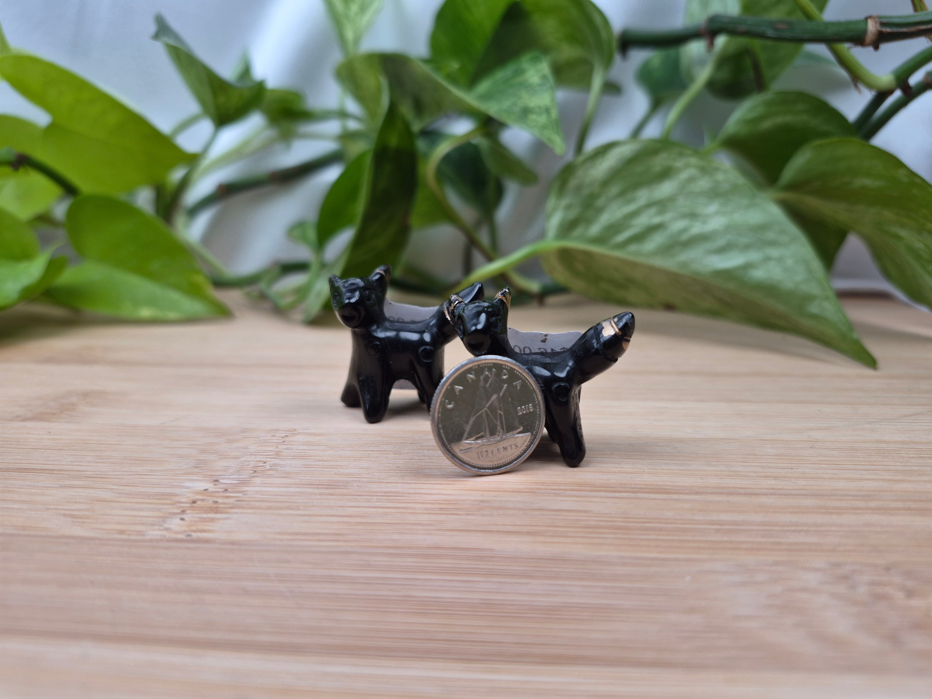 OBSIDIAN UMBREON STANDING