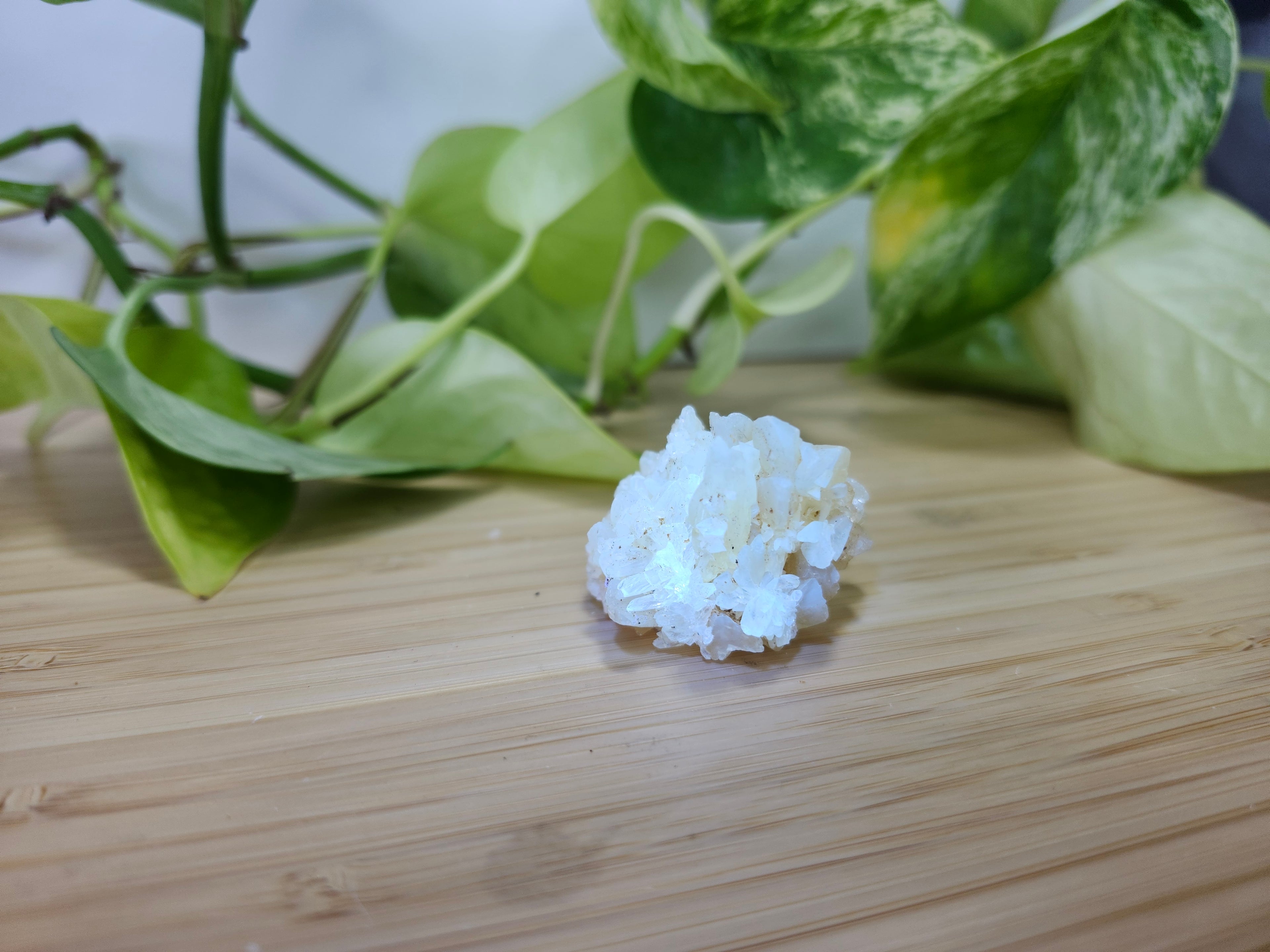 FLORIDA CALCITE SPECIMEN