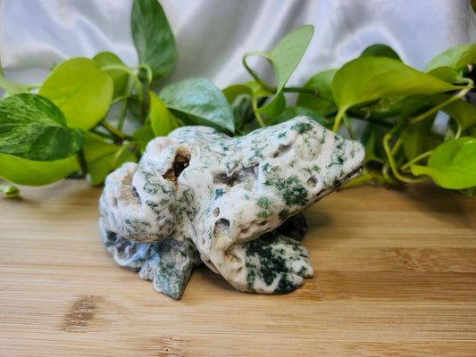 TREE AGATE FROG LG