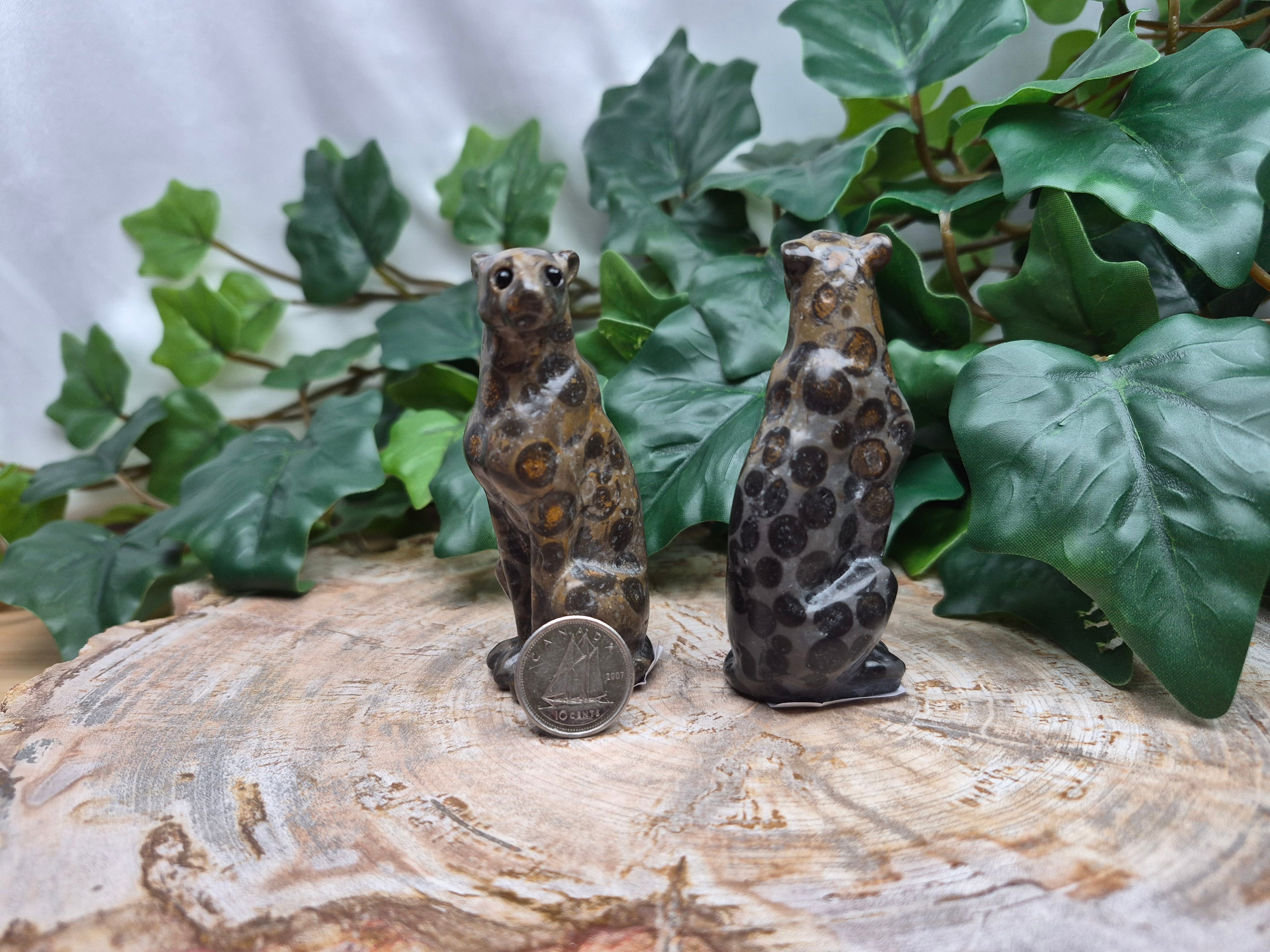 LEOPARDITE LEOPARD