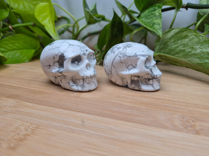 HOWLITE SKULL MD