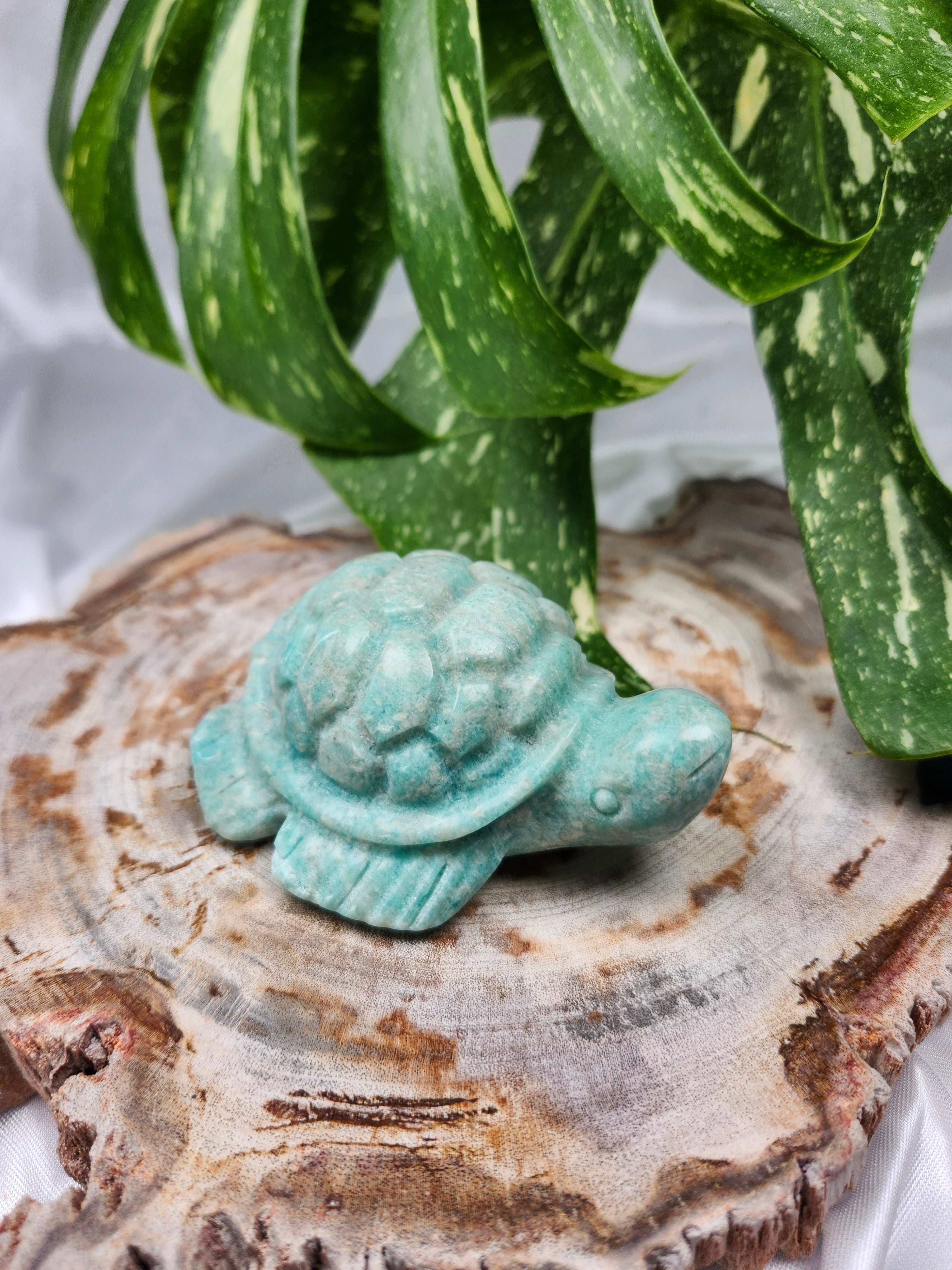 AMAZONITE TURTLE